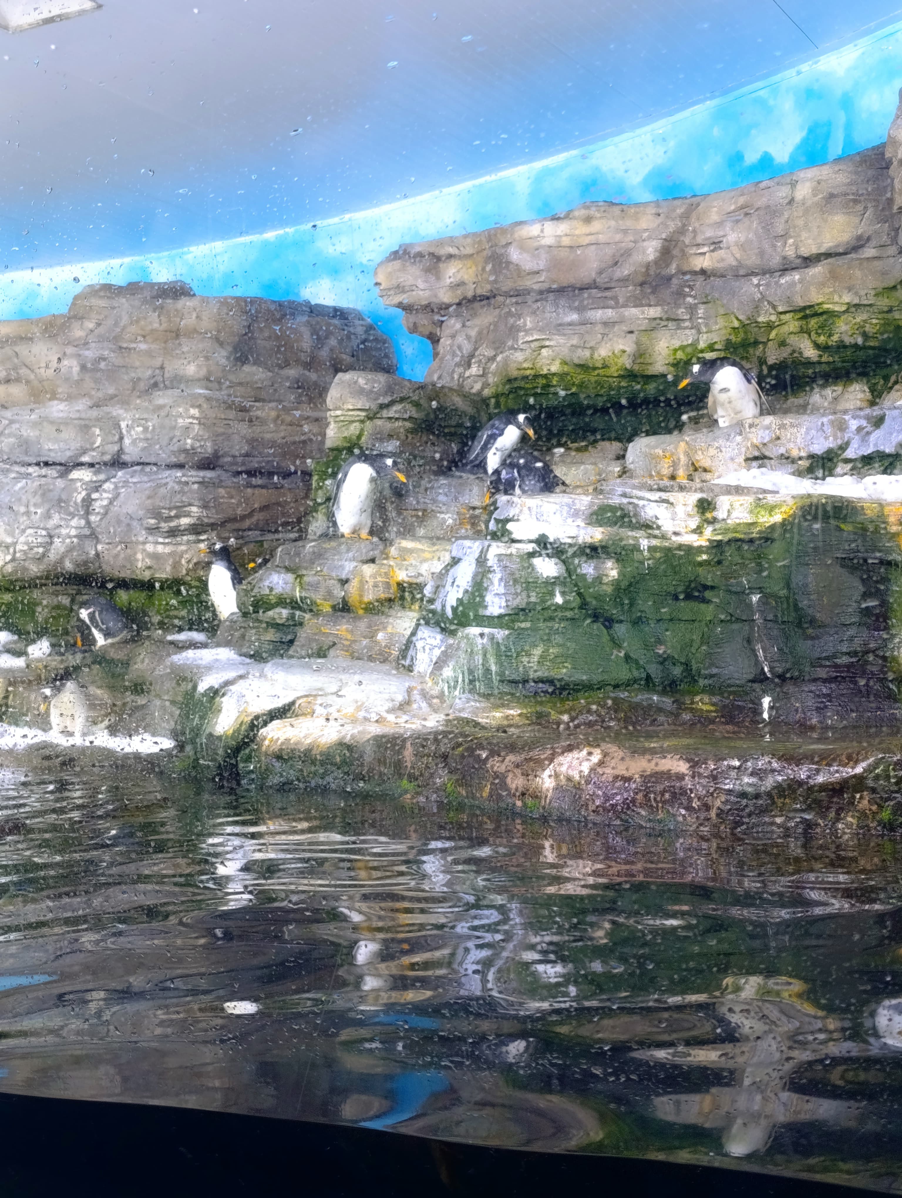 IMG-20250530-WA0079
