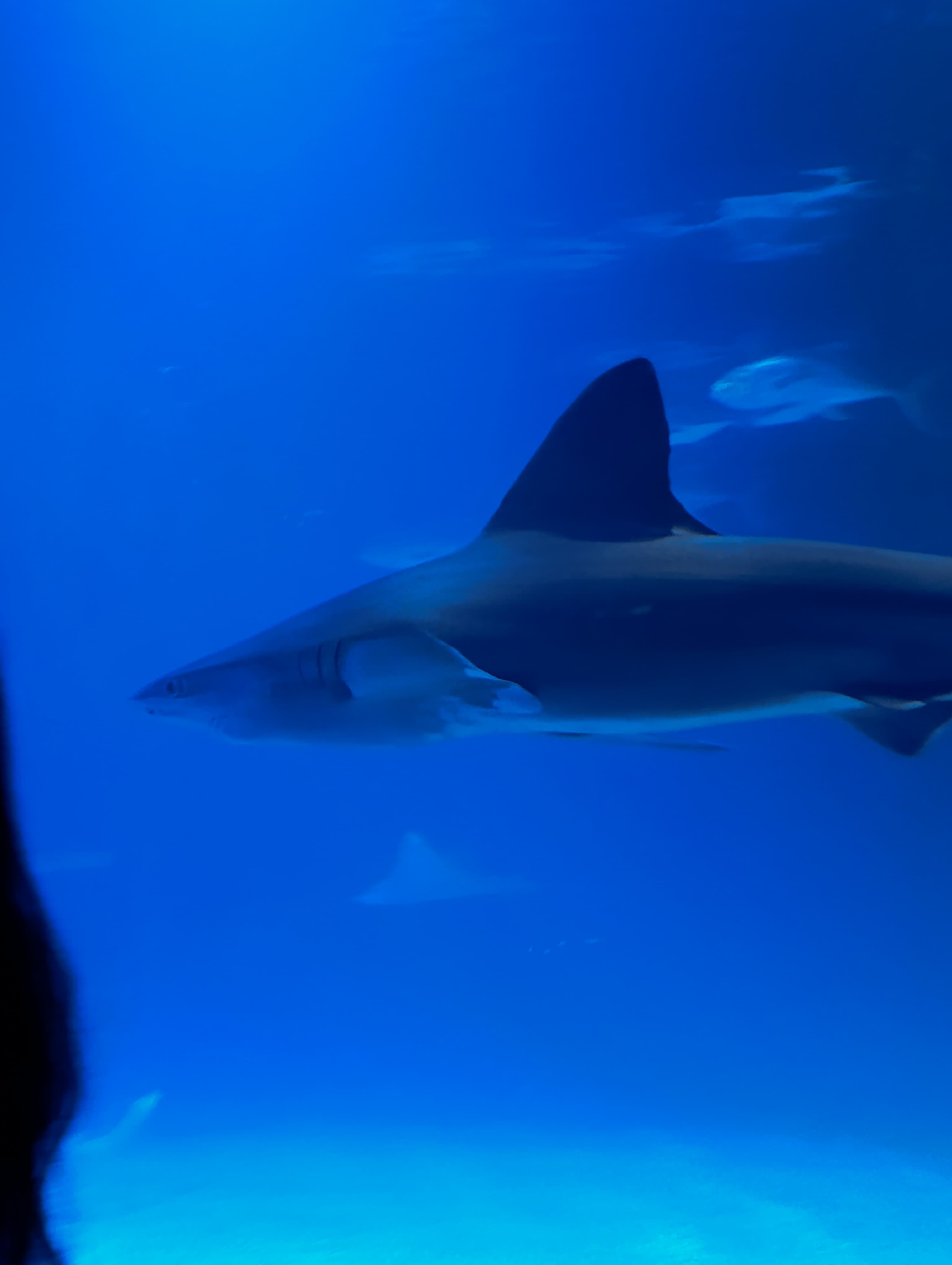 IMG-20250530-WA0112