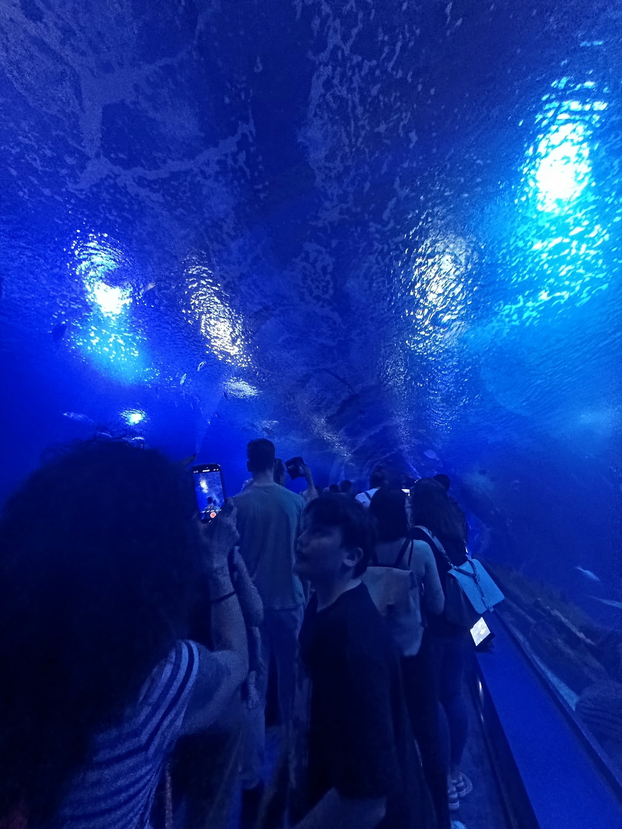 IMG-20250530-WA0130
