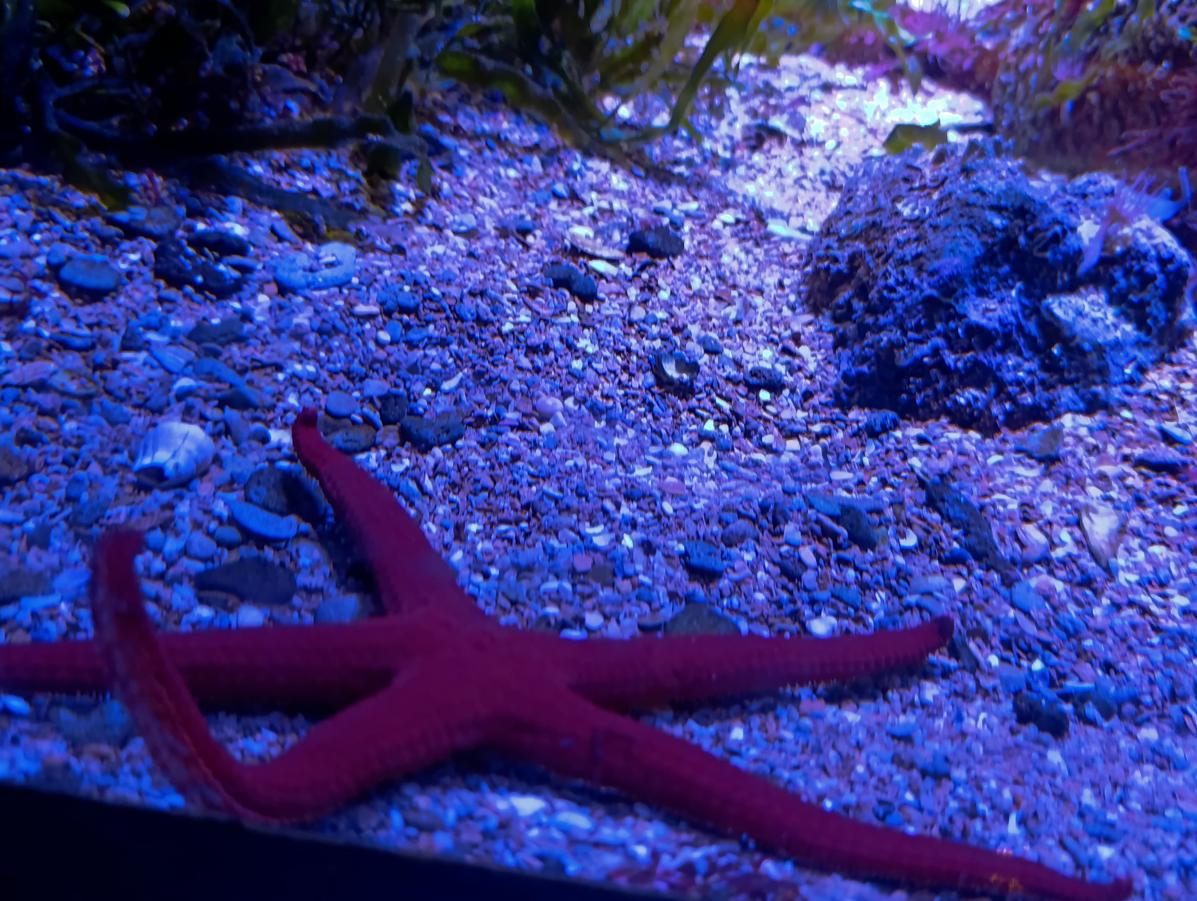 IMG-20250530-WA0146