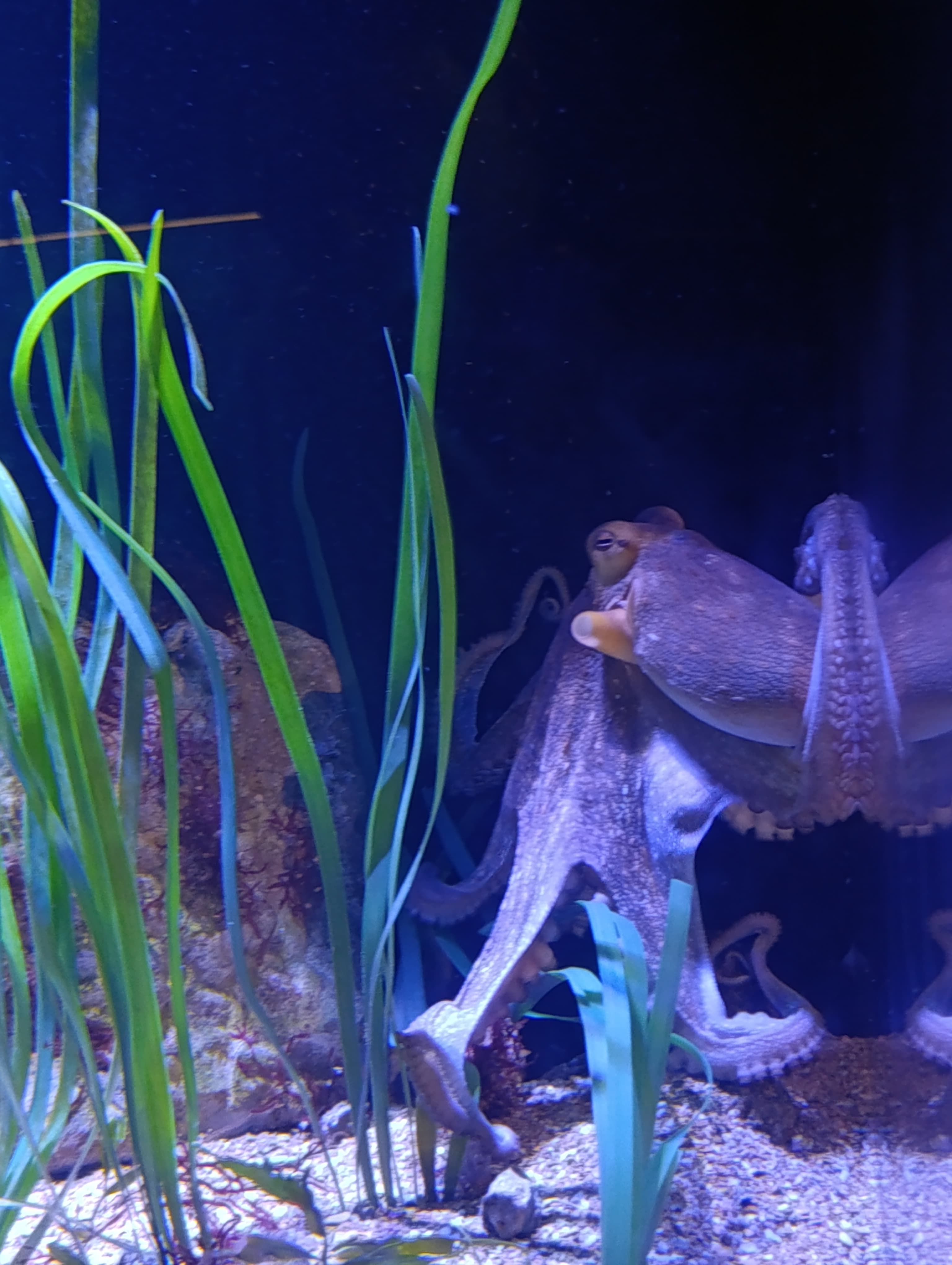 IMG-20250530-WA0167