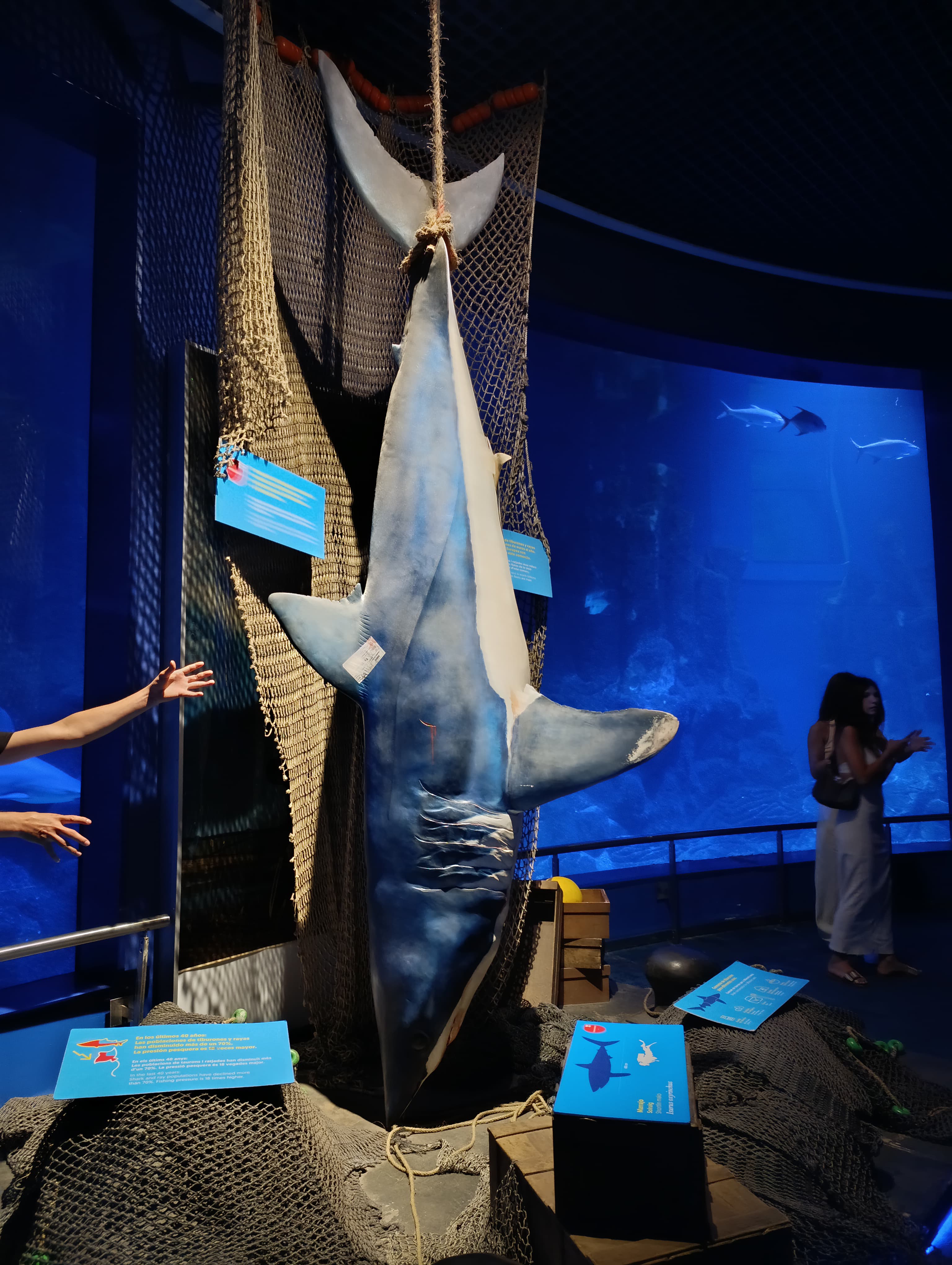 IMG-20250530-WA0171