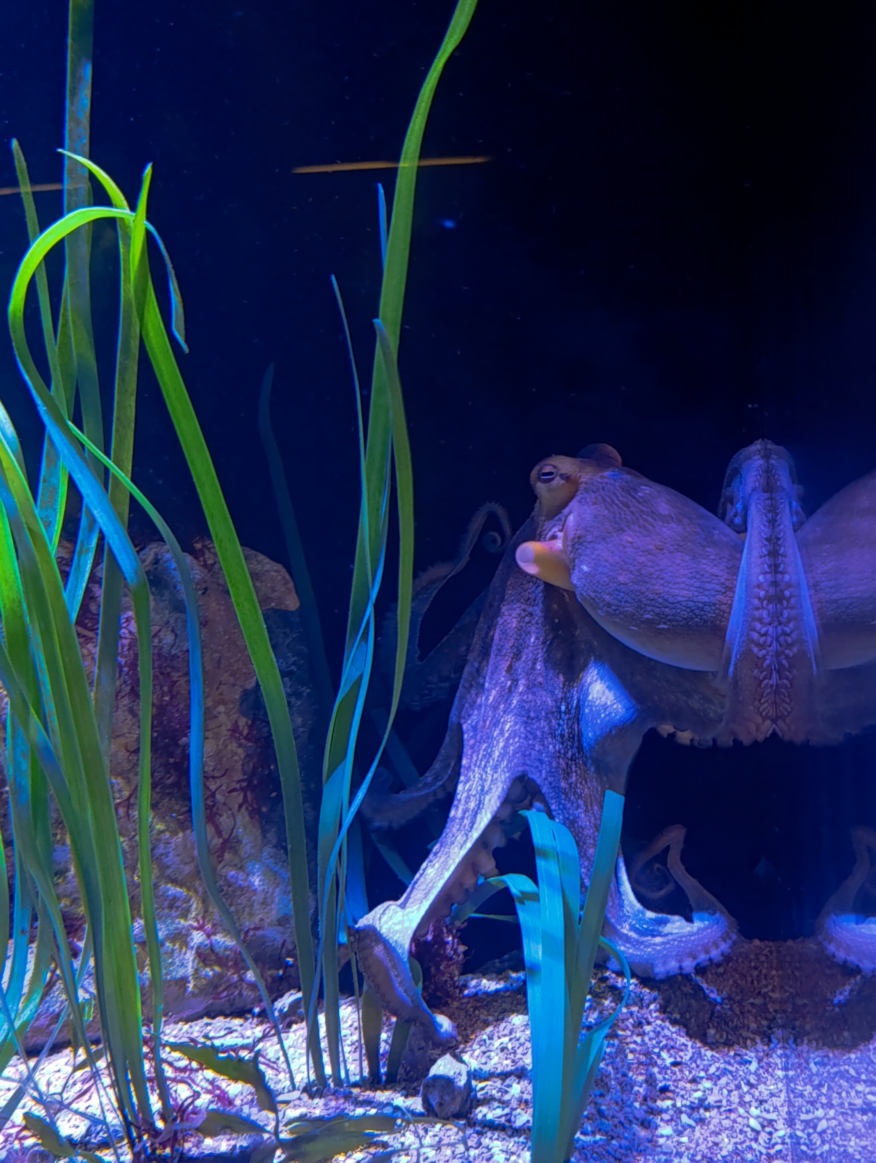IMG-20250530-WA0172