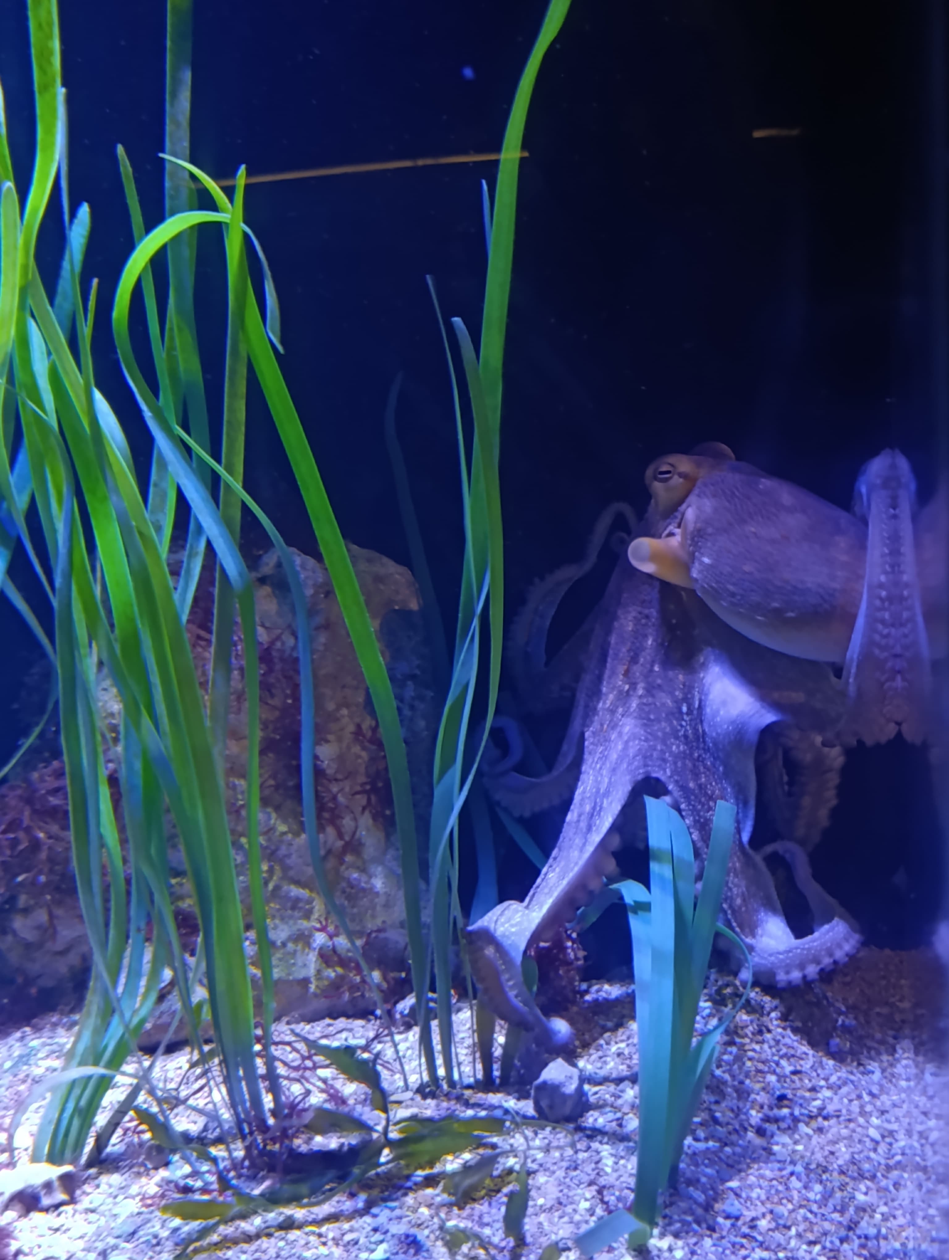 IMG-20250530-WA0176
