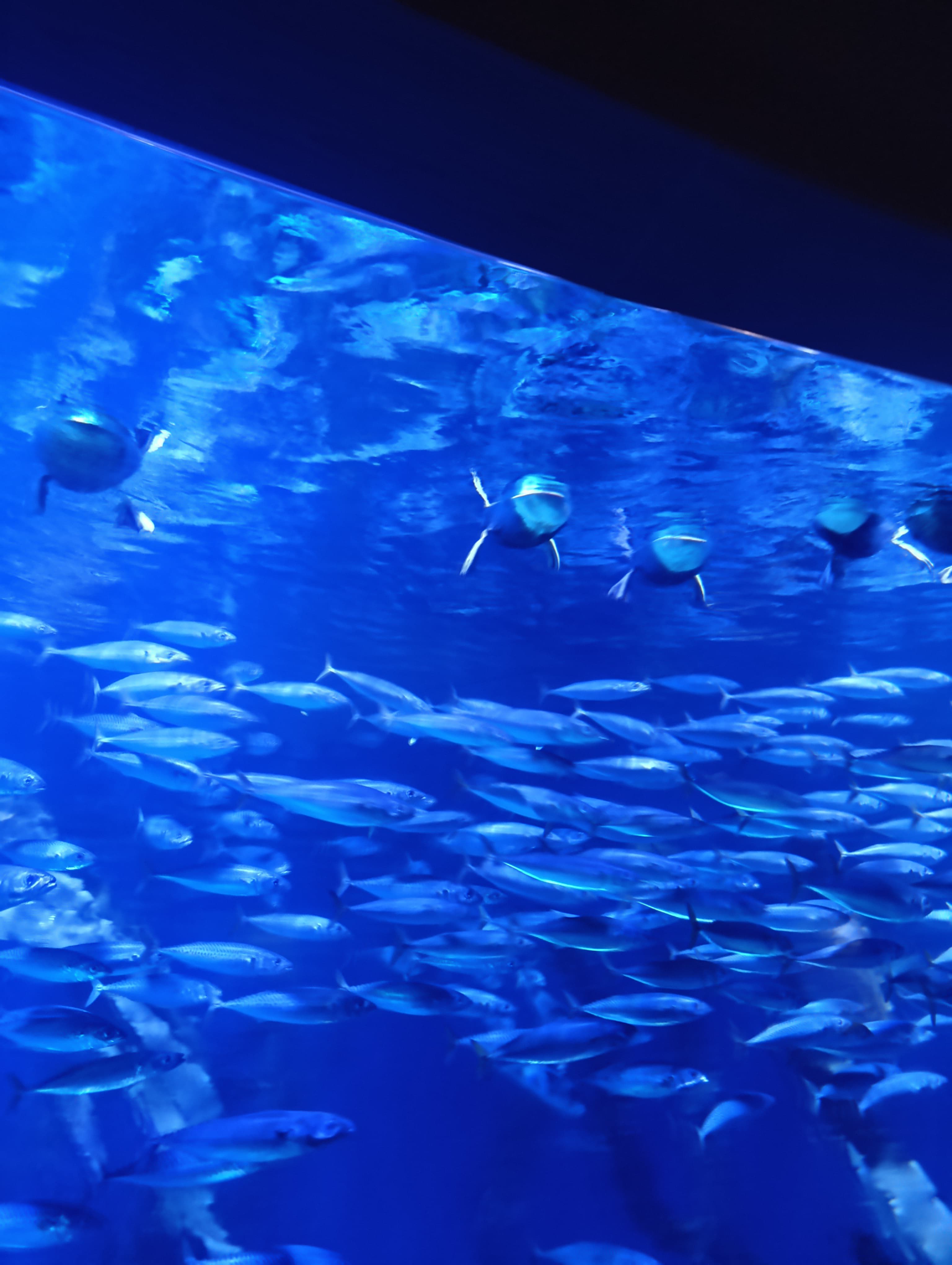 IMG-20250530-WA0182
