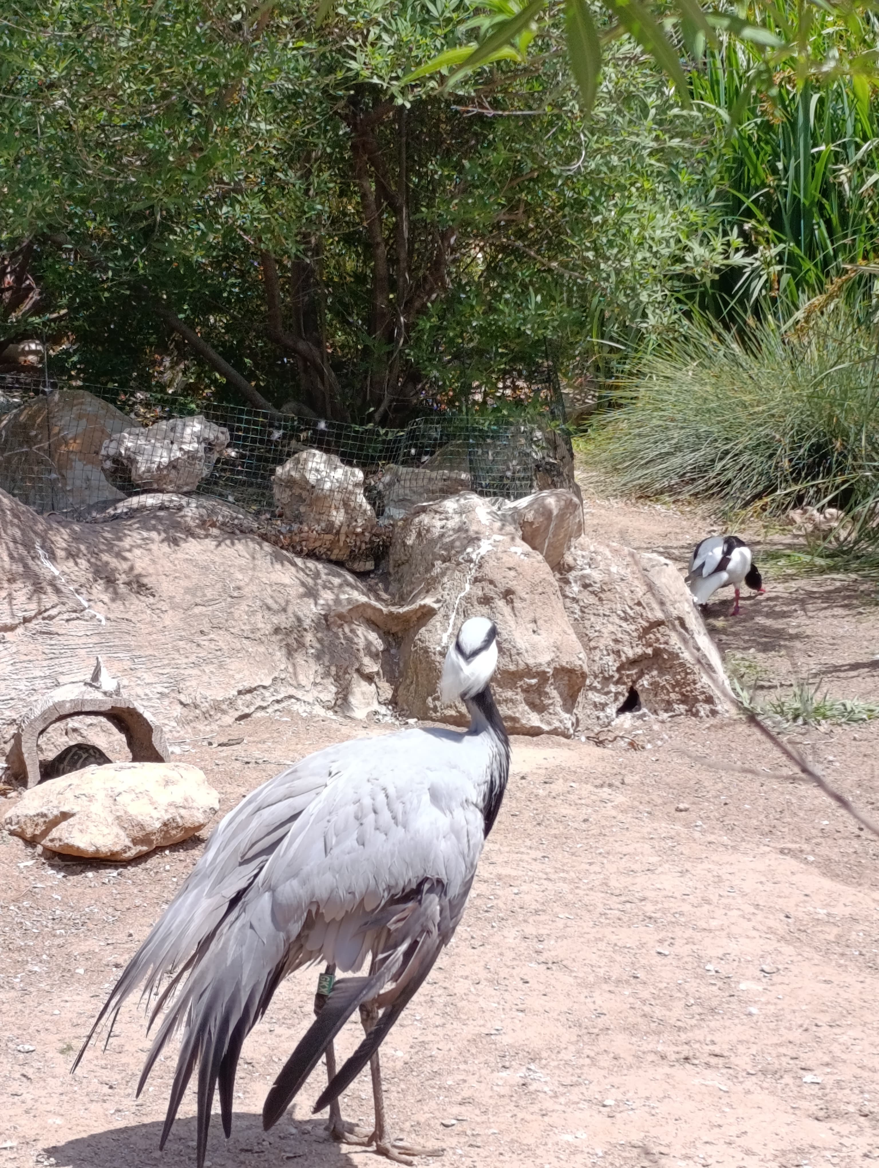 IMG-20250530-WA0184