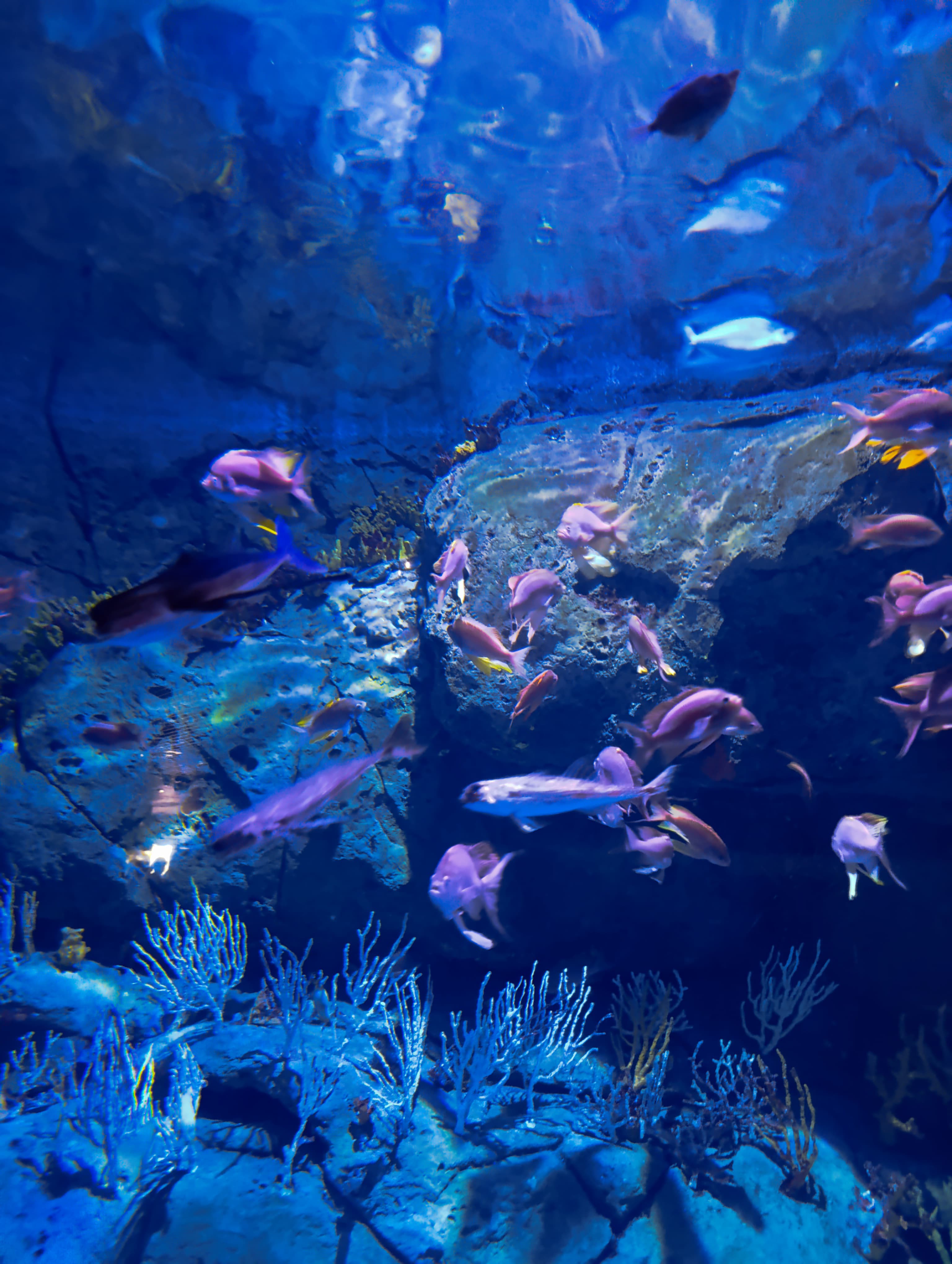 IMG-20250530-WA0185