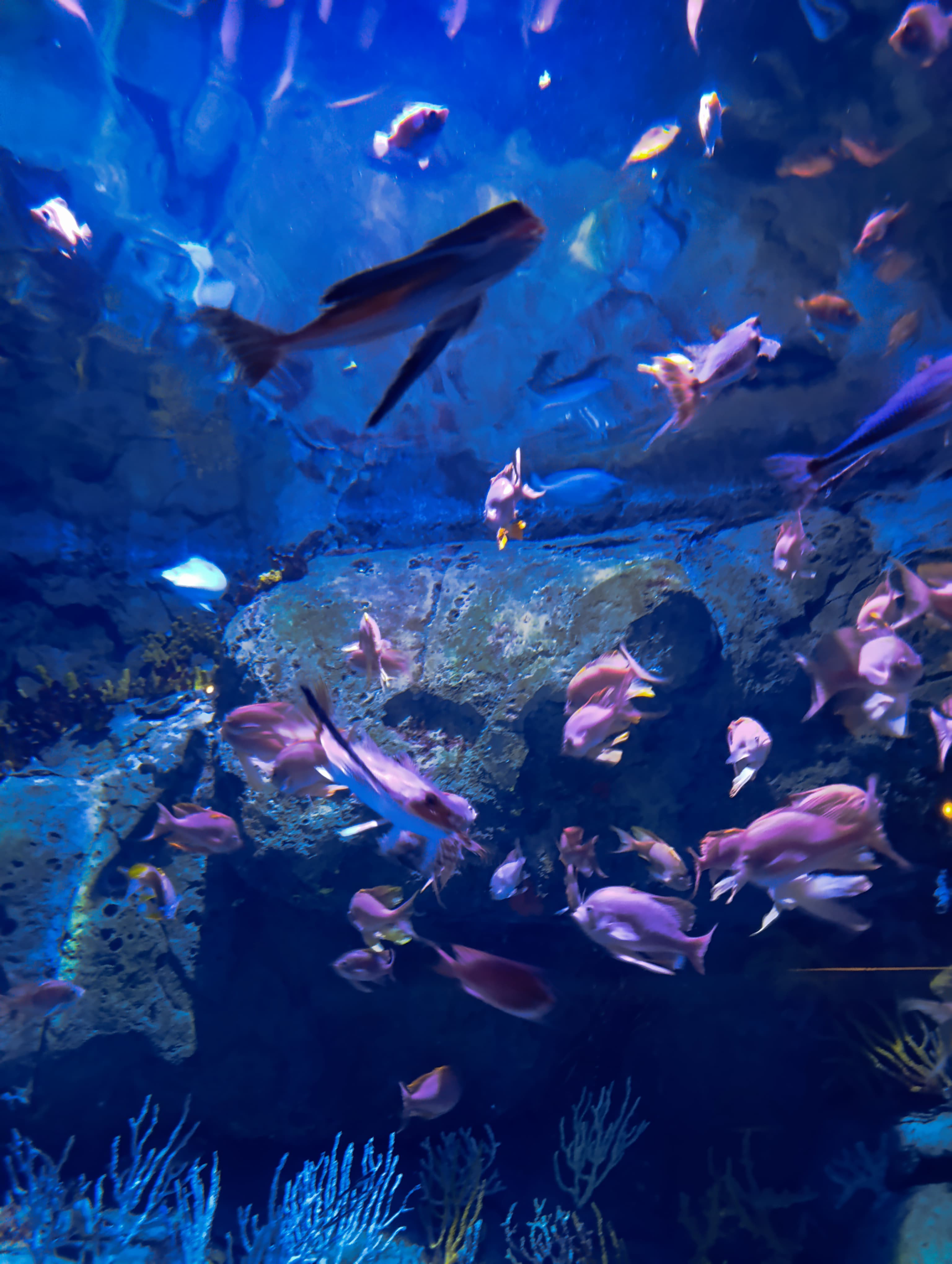 IMG-20250530-WA0186
