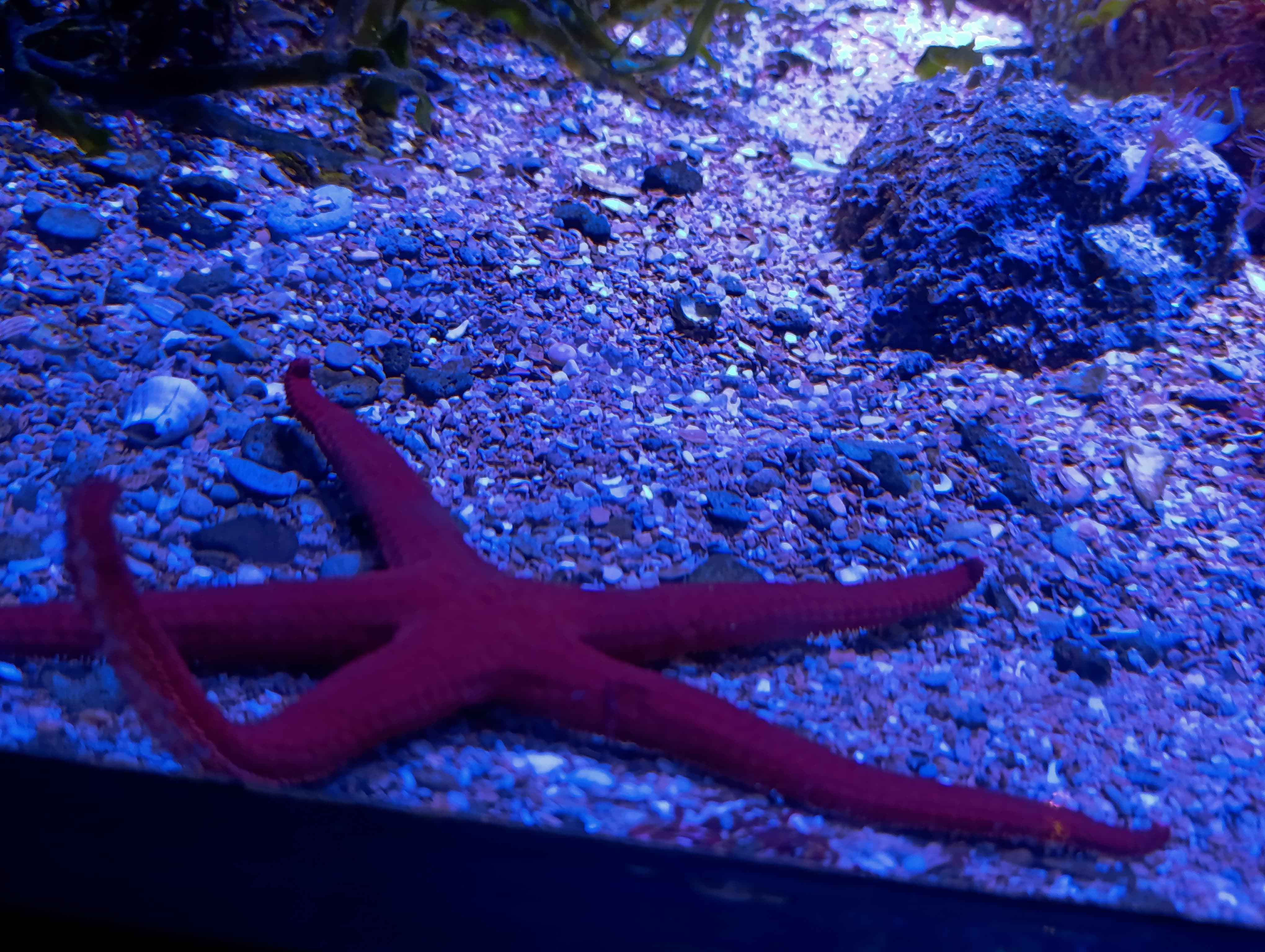 IMG-20250530-WA0195