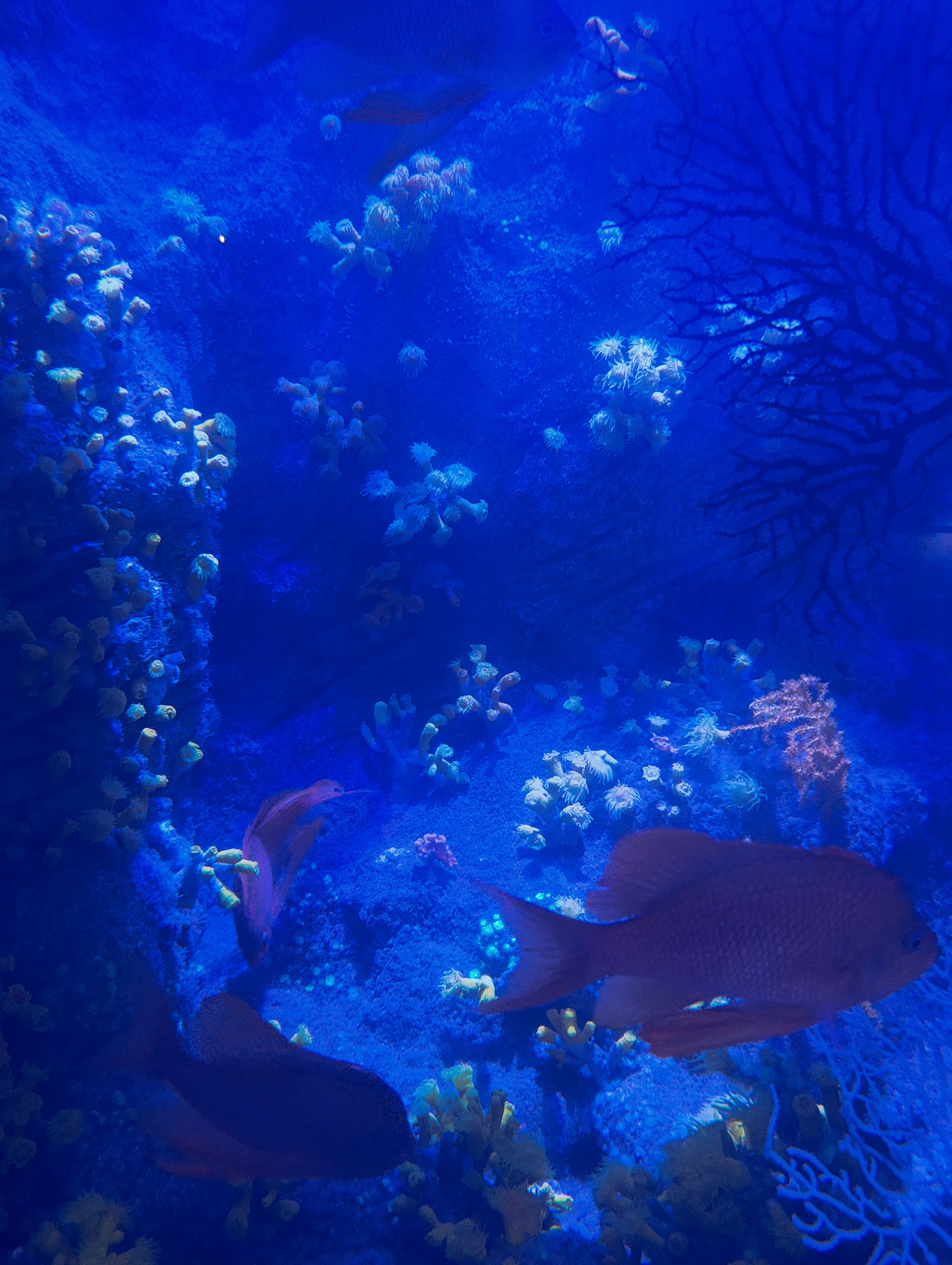 IMG-20250530-WA0199