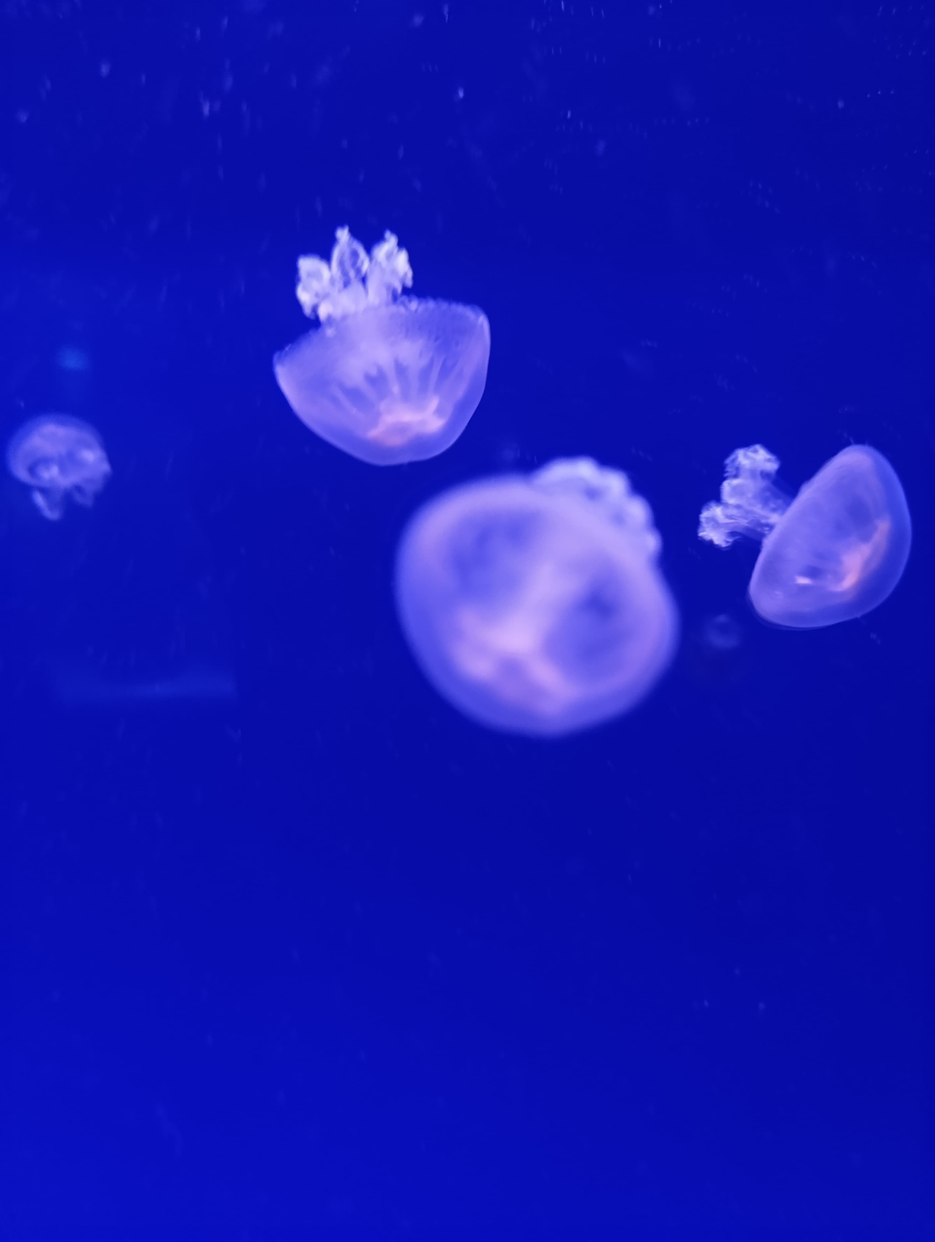IMG-20250530-WA0214