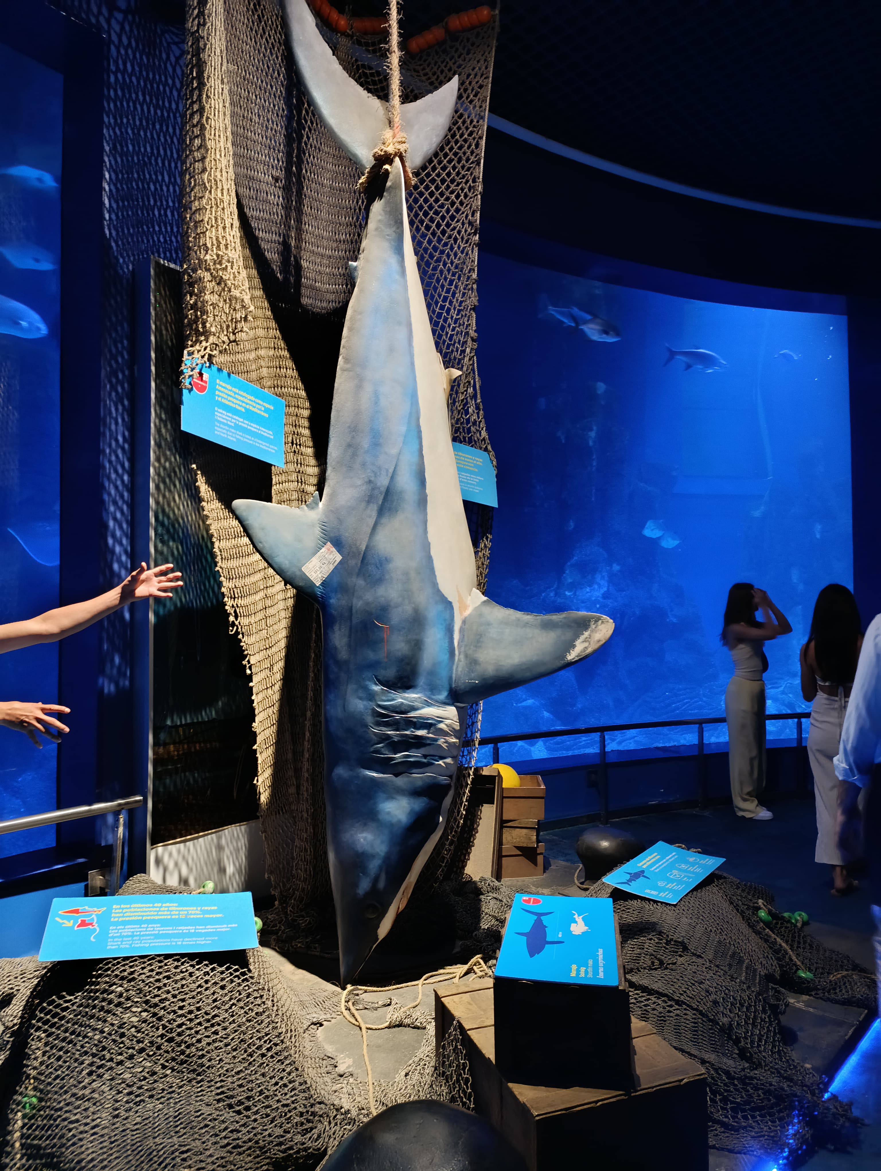 IMG-20250530-WA0218