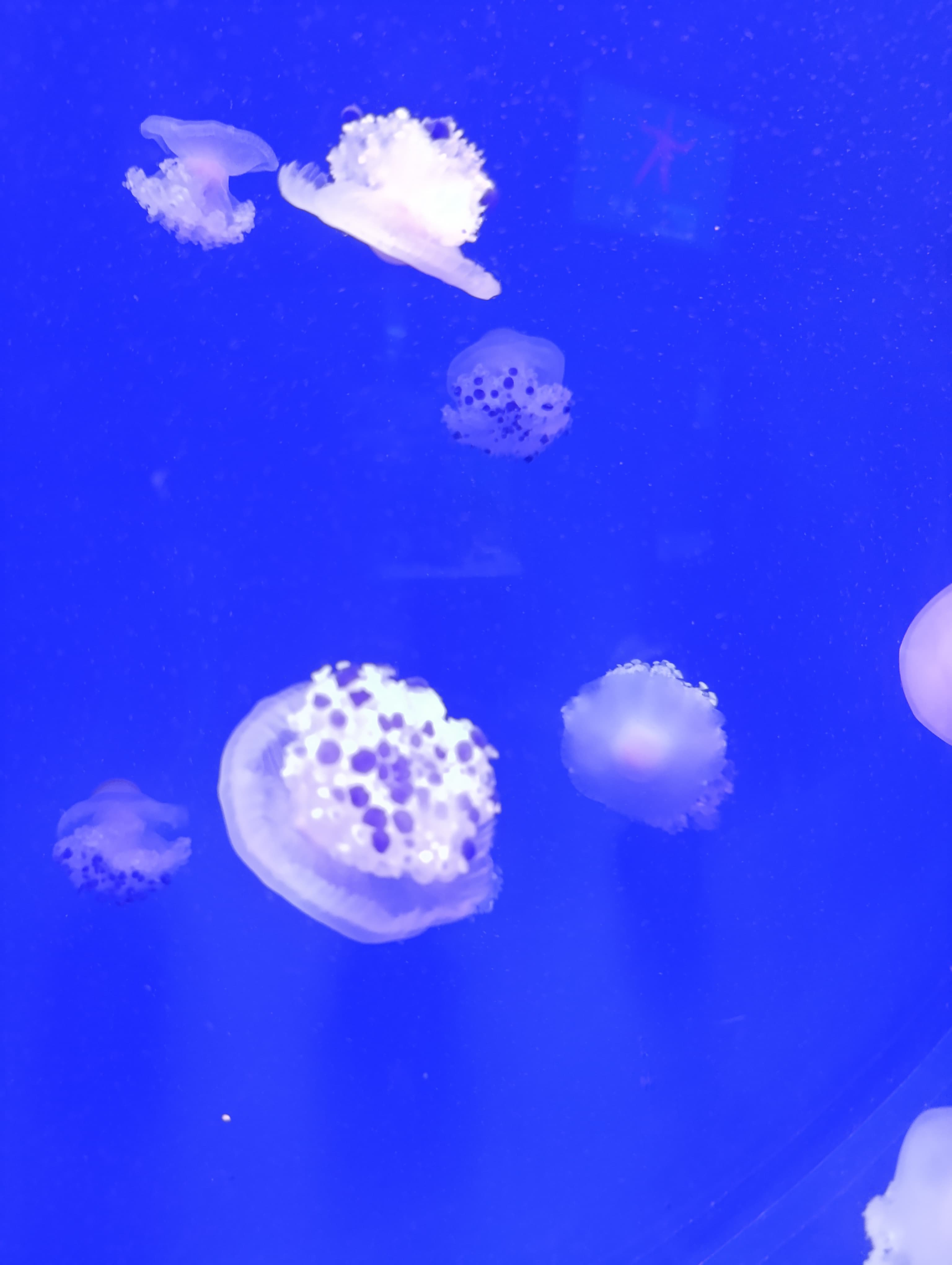 IMG-20250530-WA0251