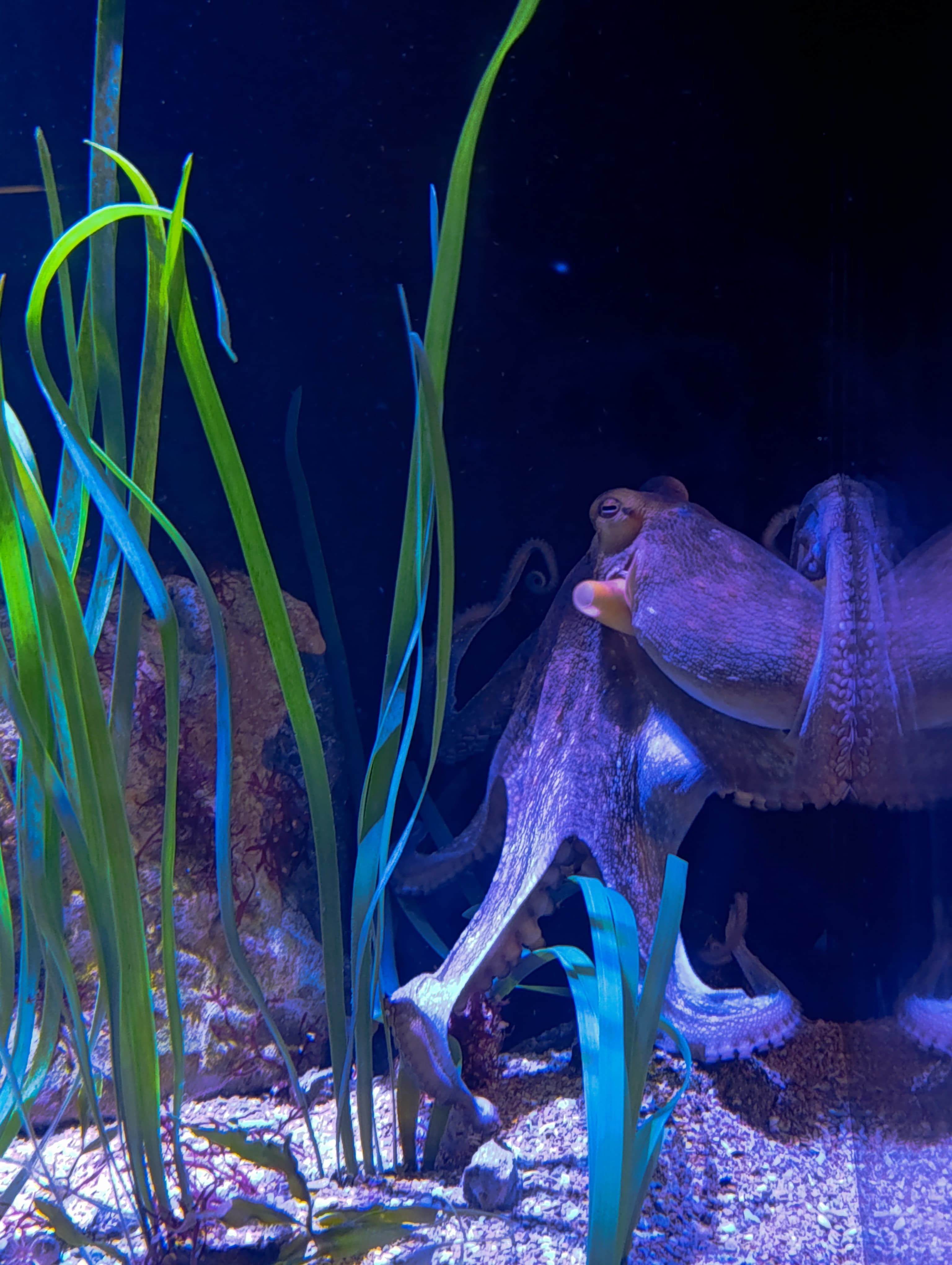 IMG-20250530-WA0261