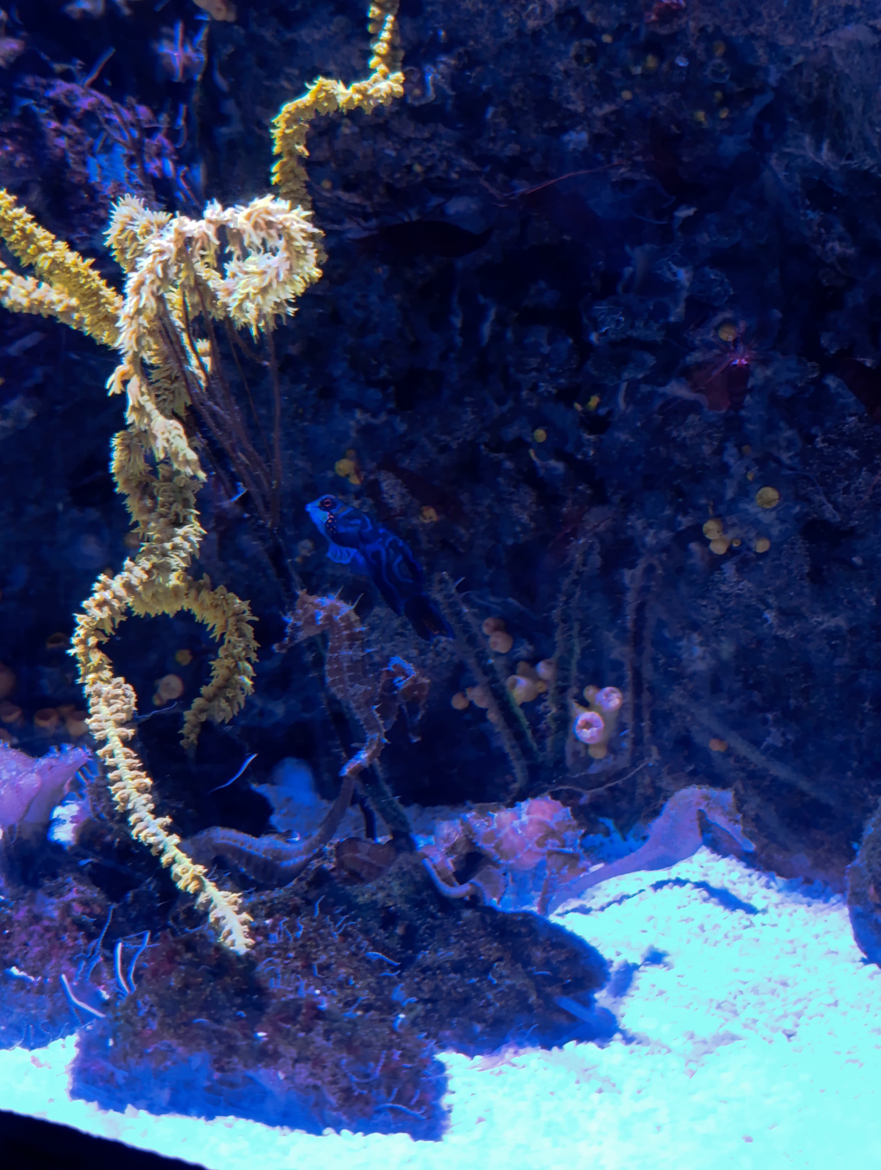 IMG-20250530-WA0273