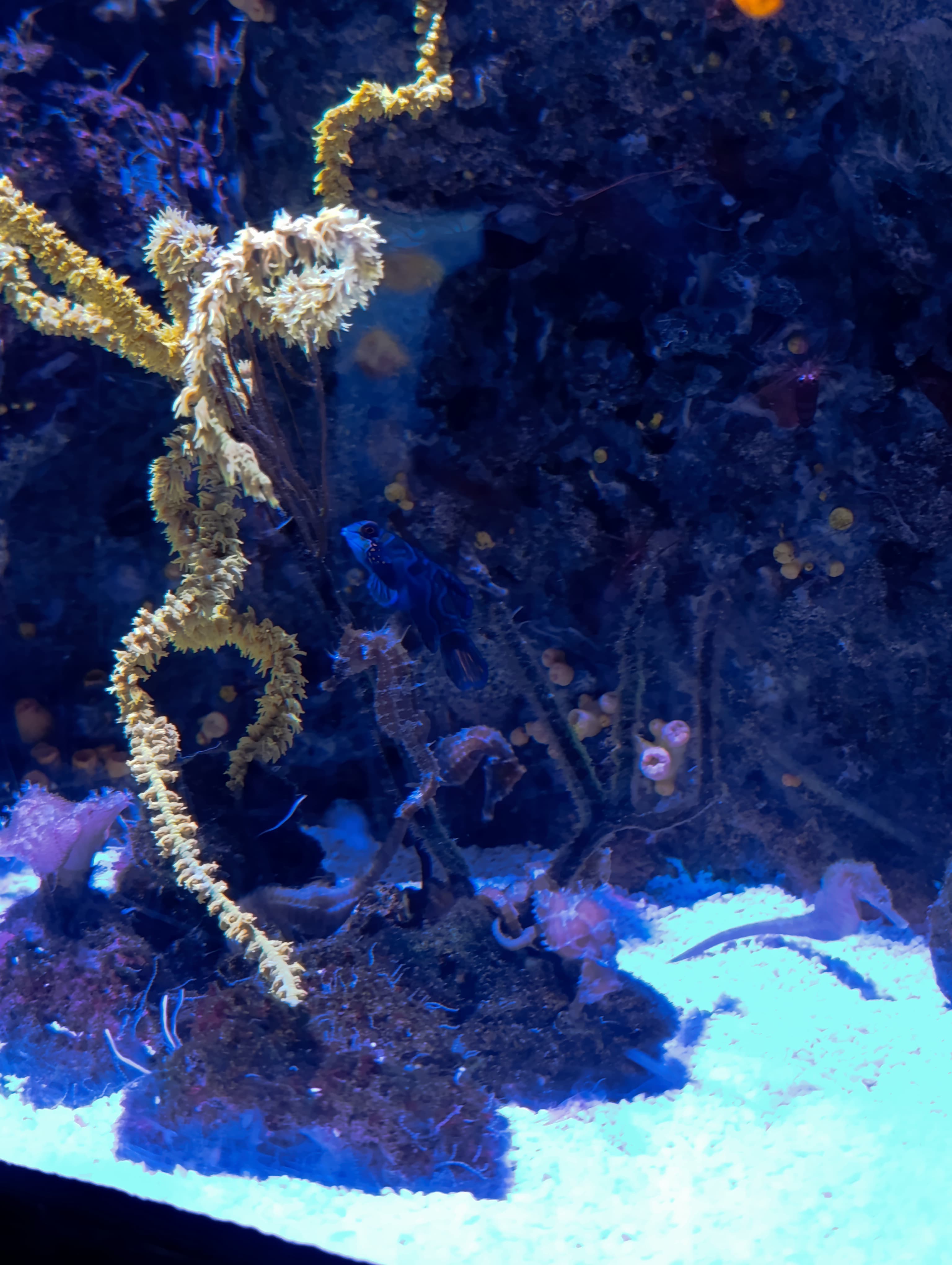 IMG-20250530-WA0278