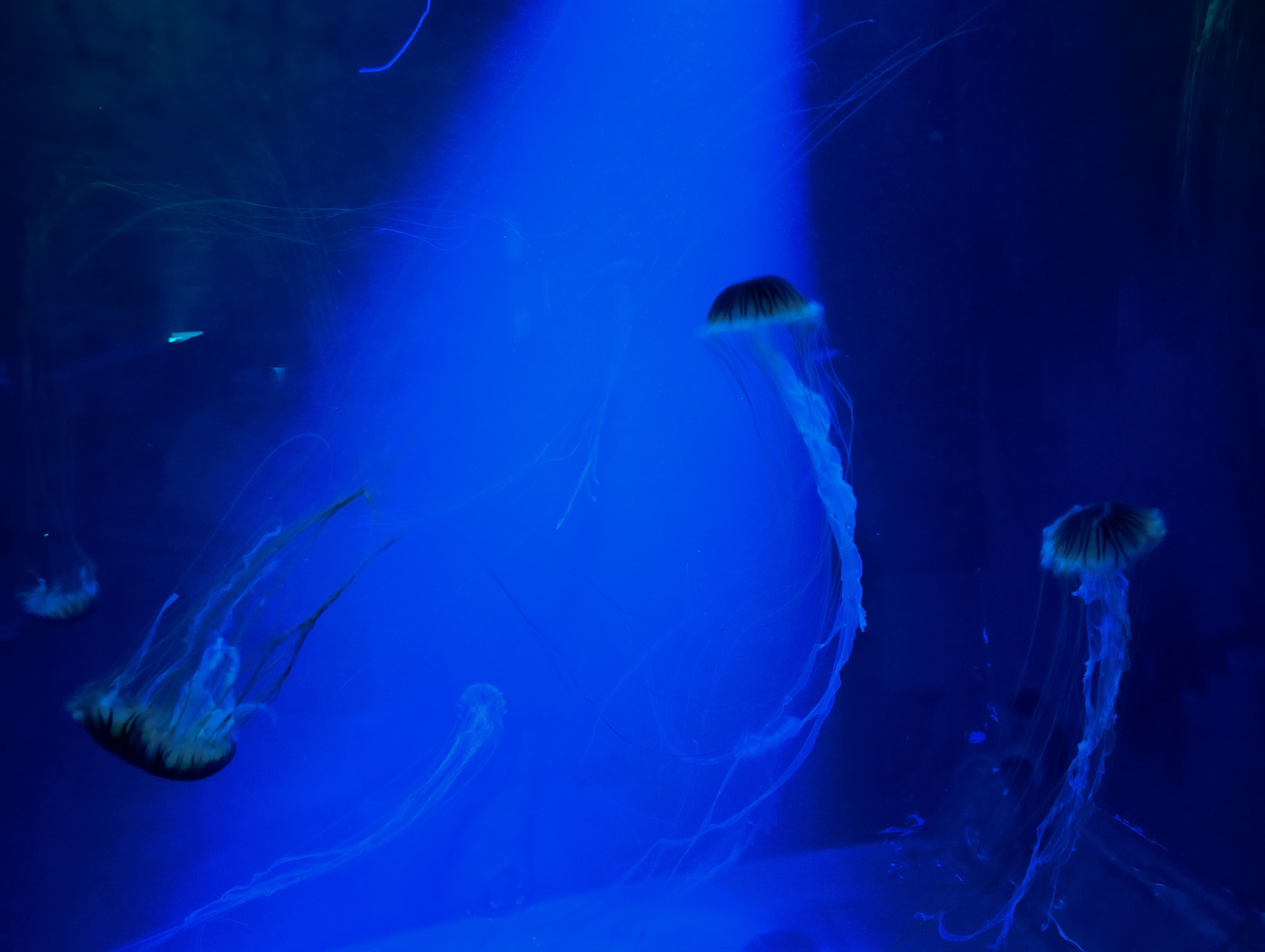 IMG-20250530-WA0286