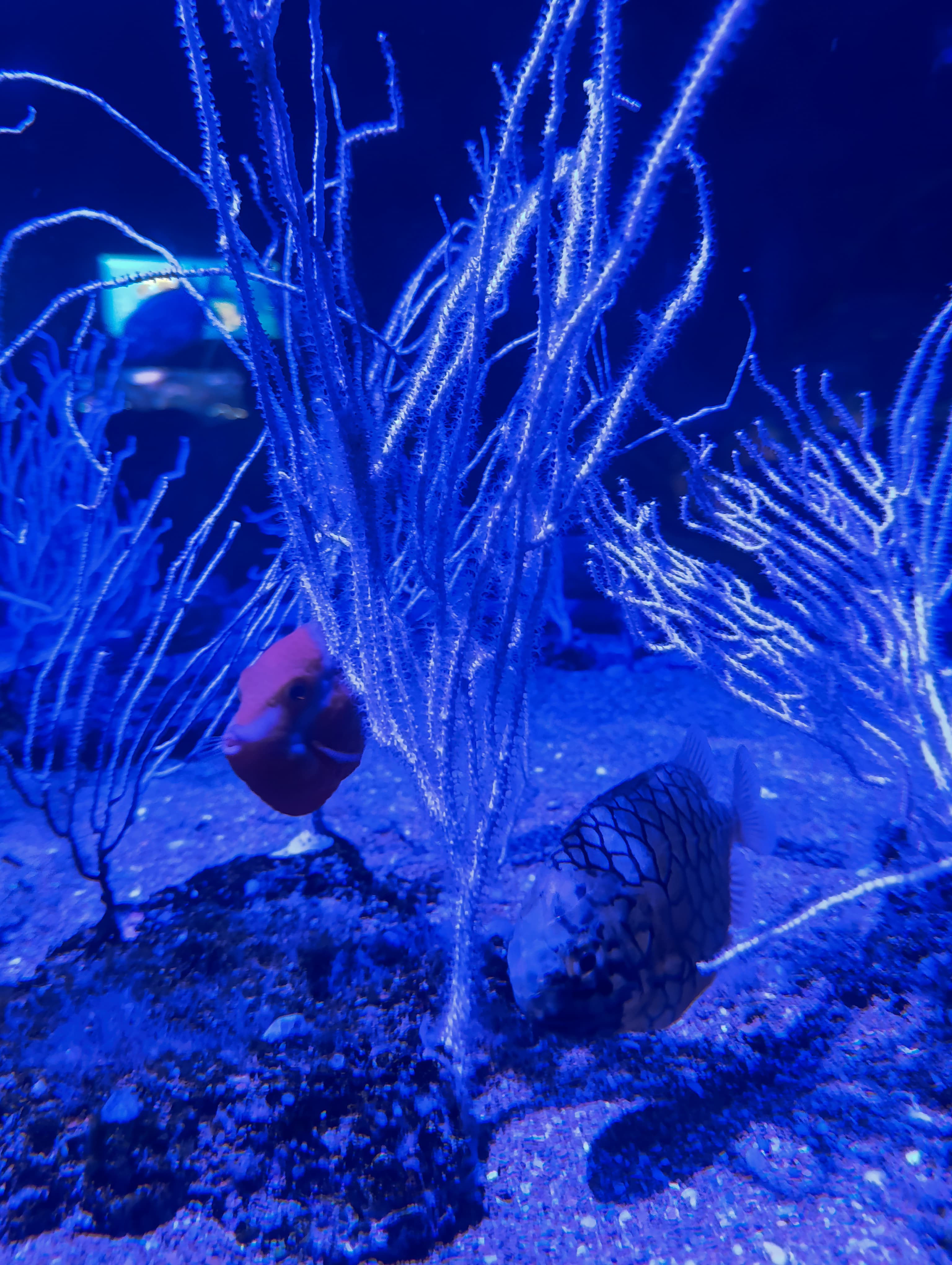 IMG-20250530-WA0293