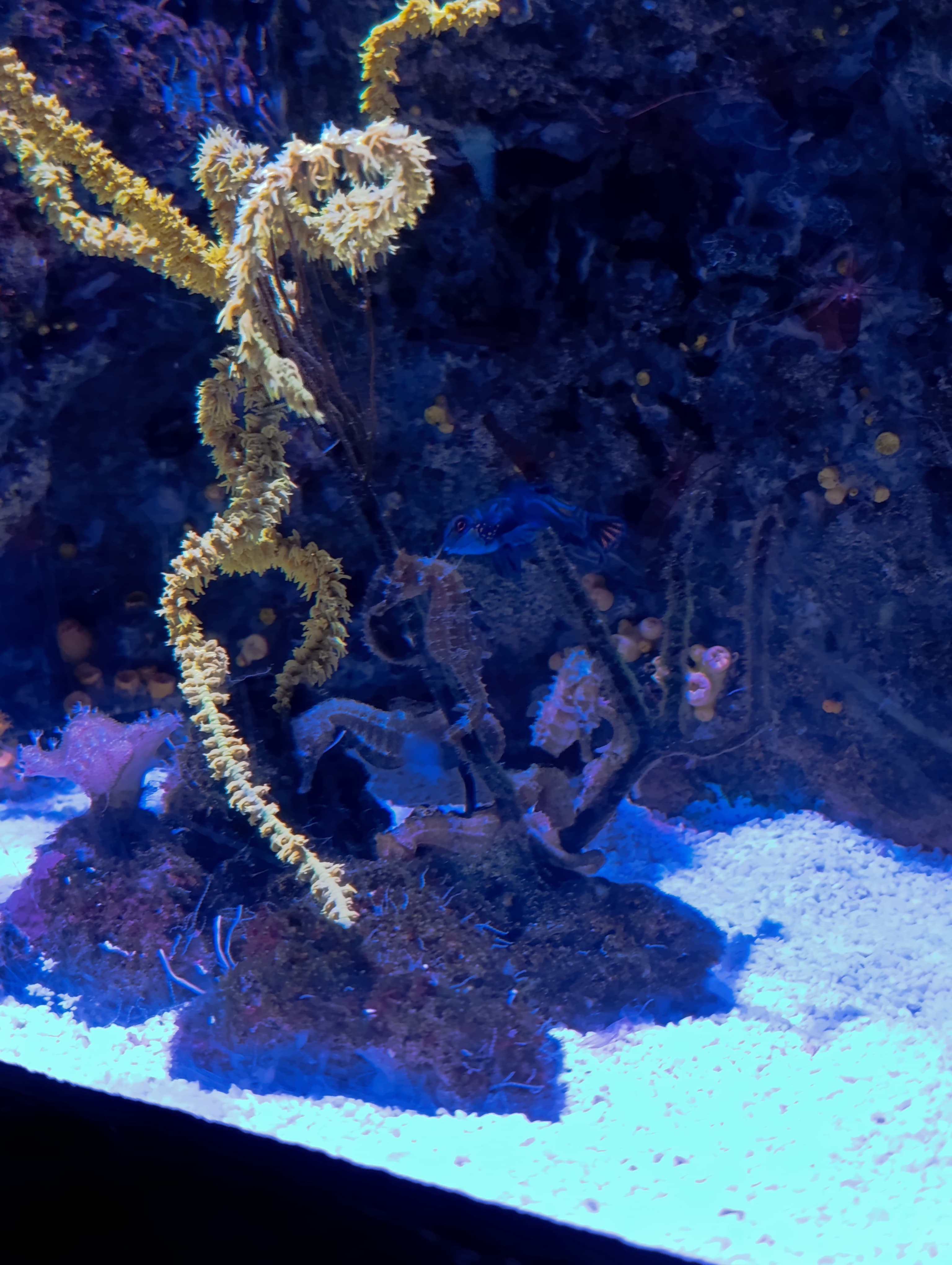 IMG-20250530-WA0320