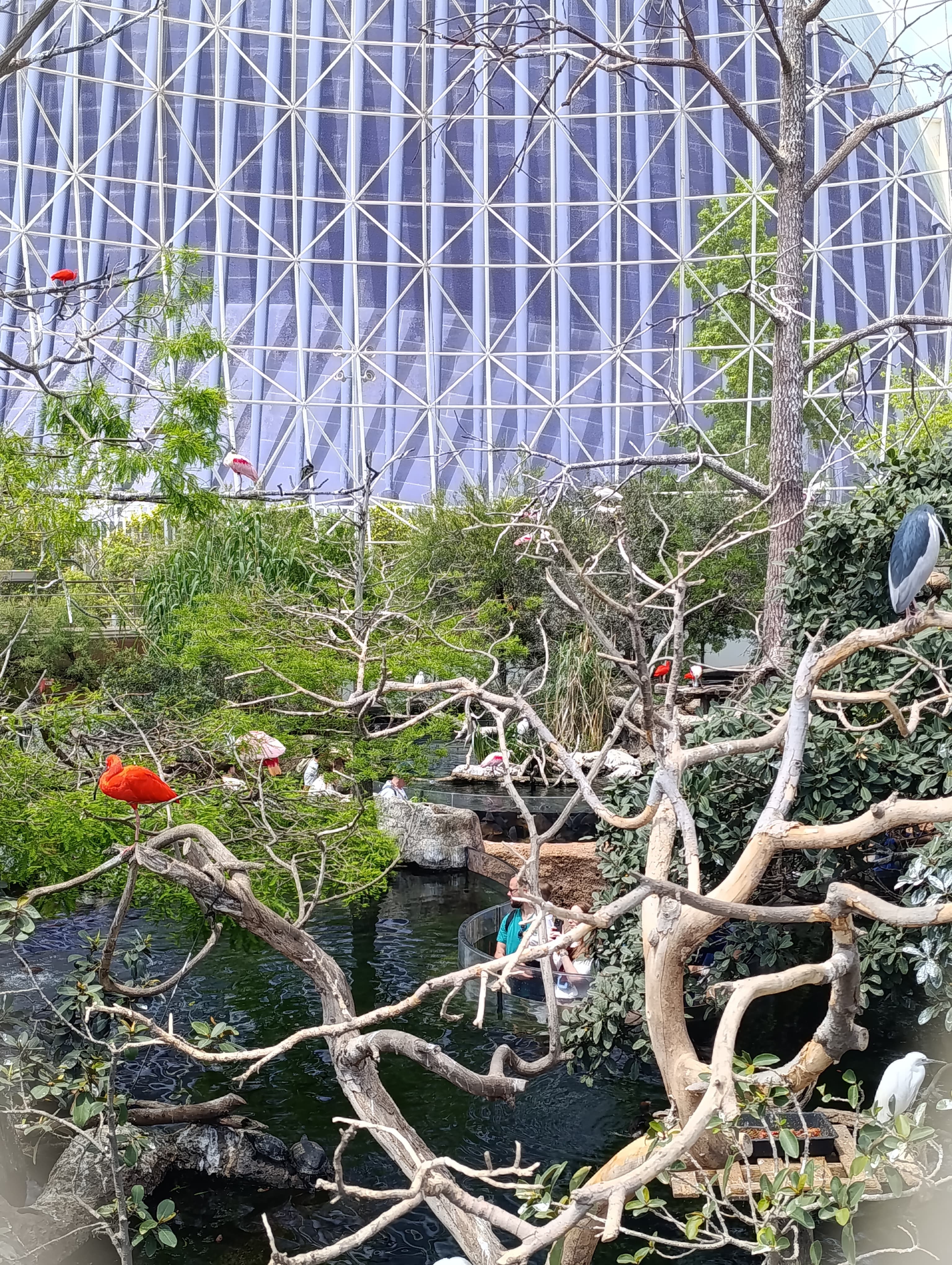 IMG-20250530-WA0324