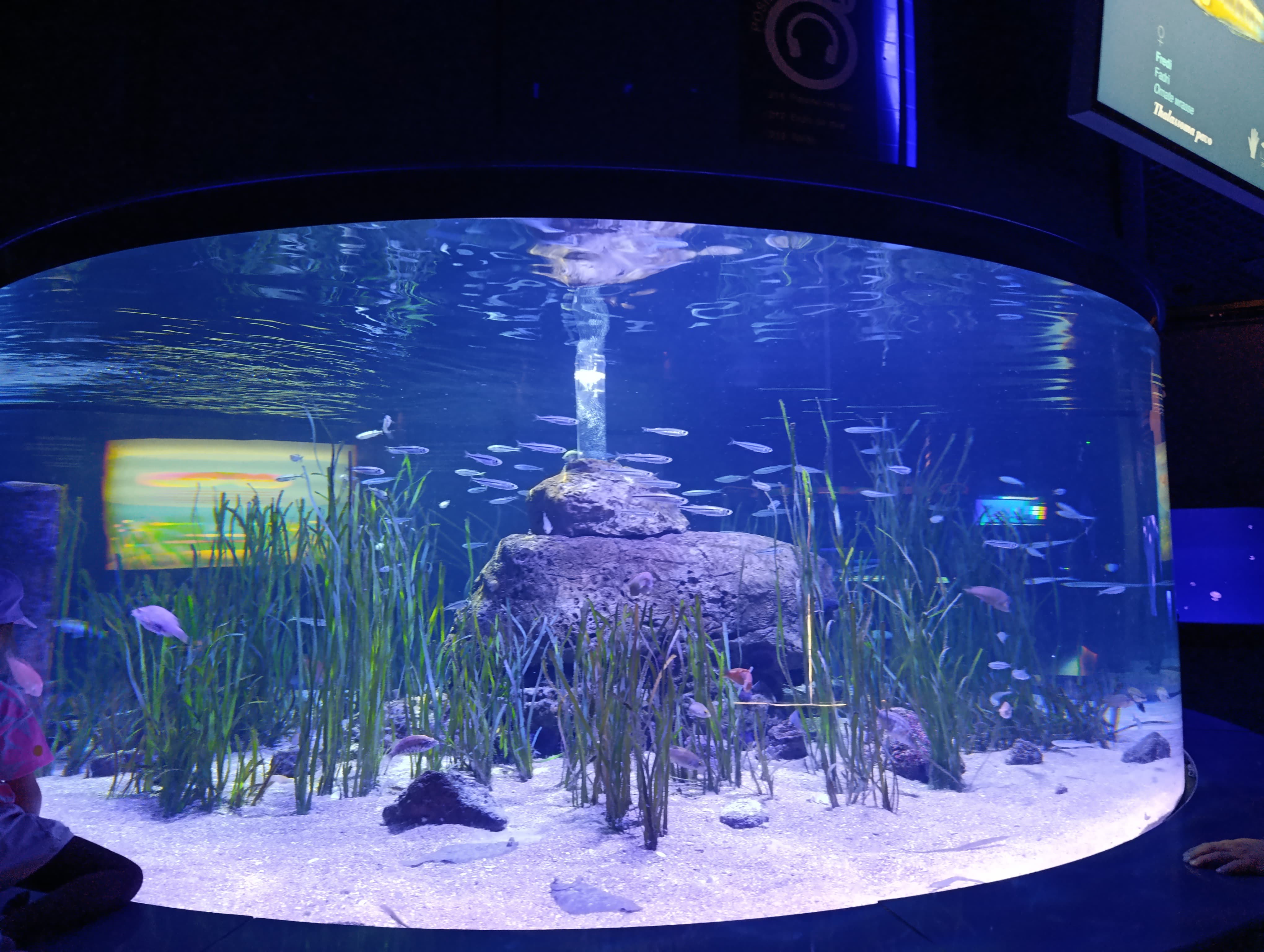 IMG-20250530-WA0325