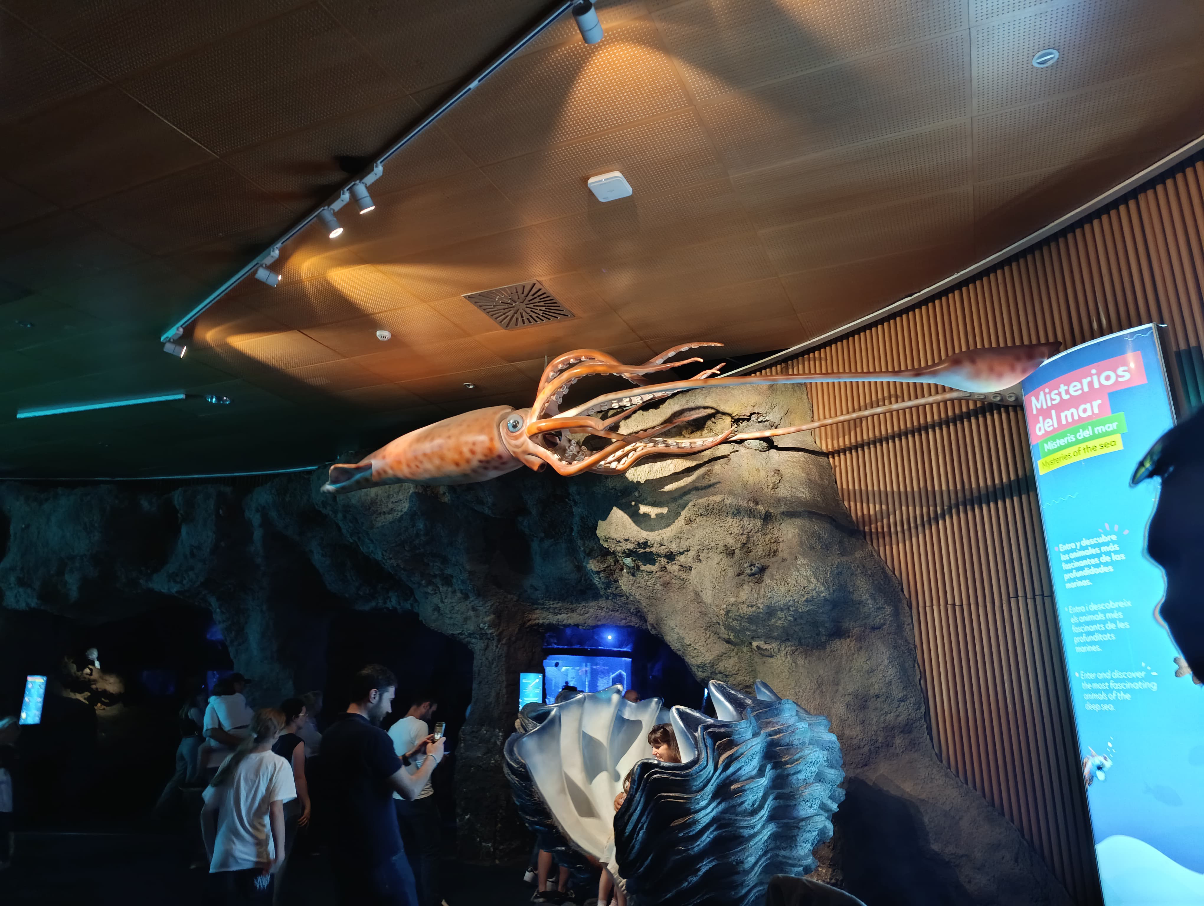 IMG-20250530-WA0330