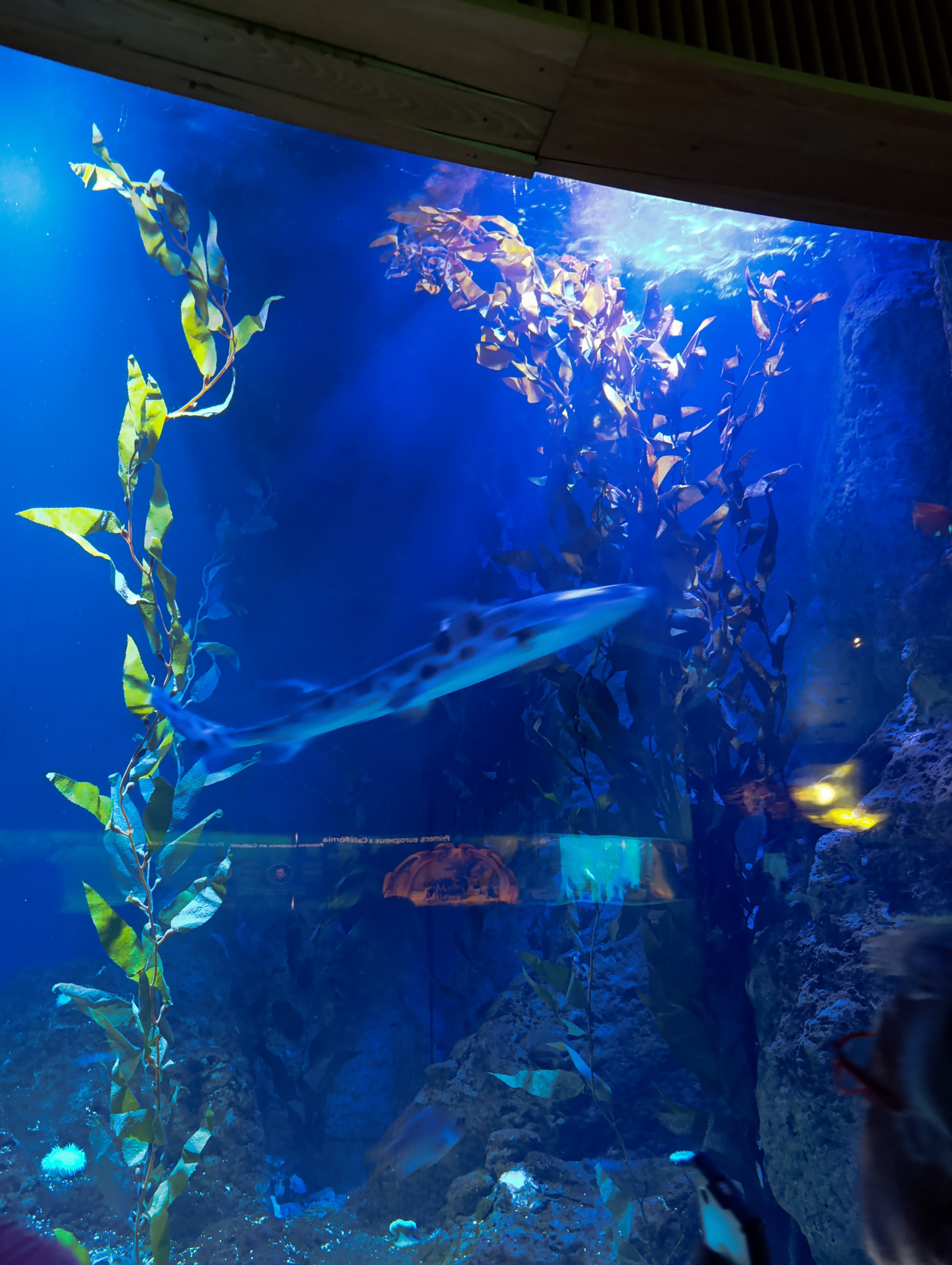 IMG-20250530-WA0334