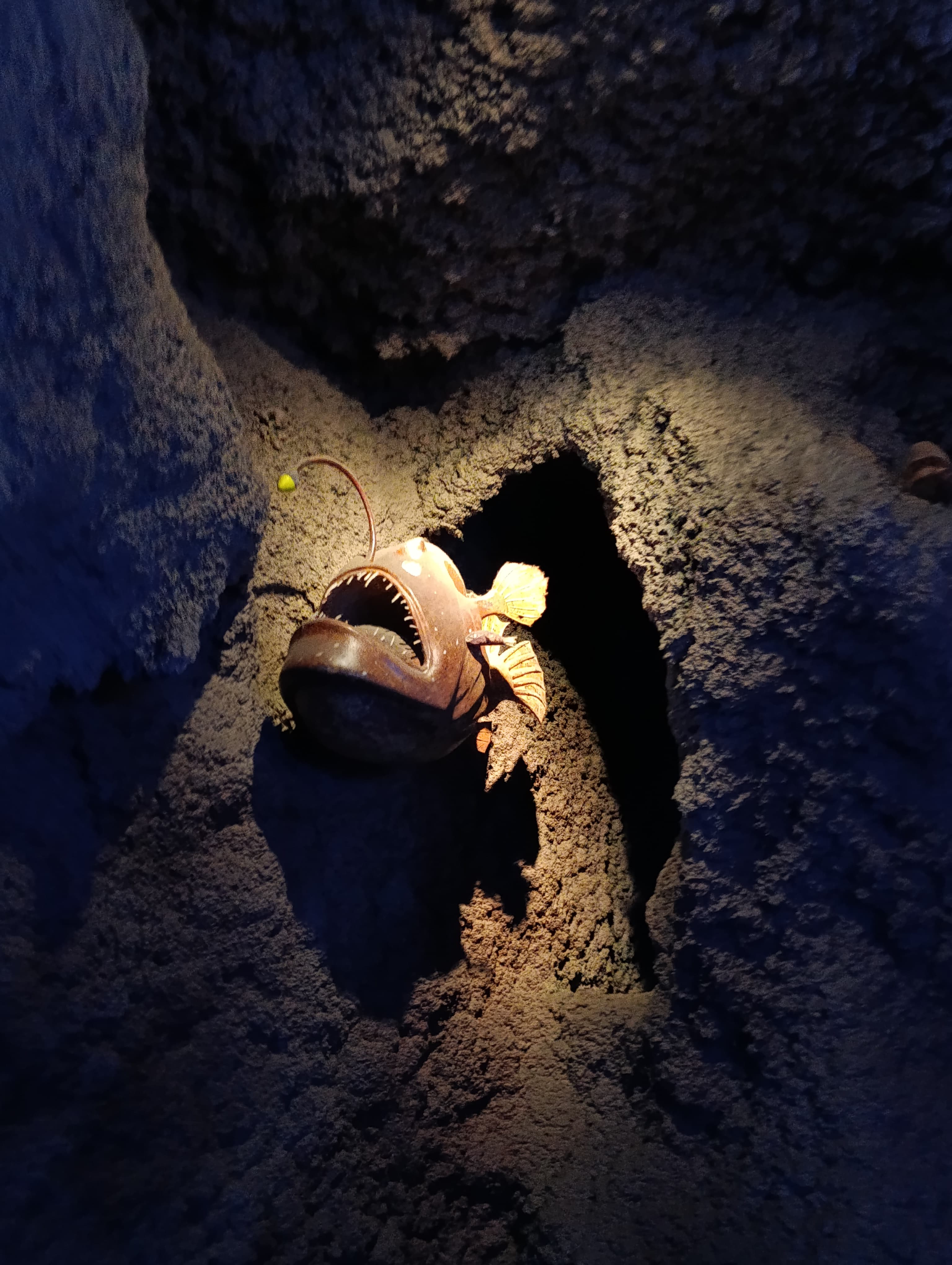 IMG-20250530-WA0340