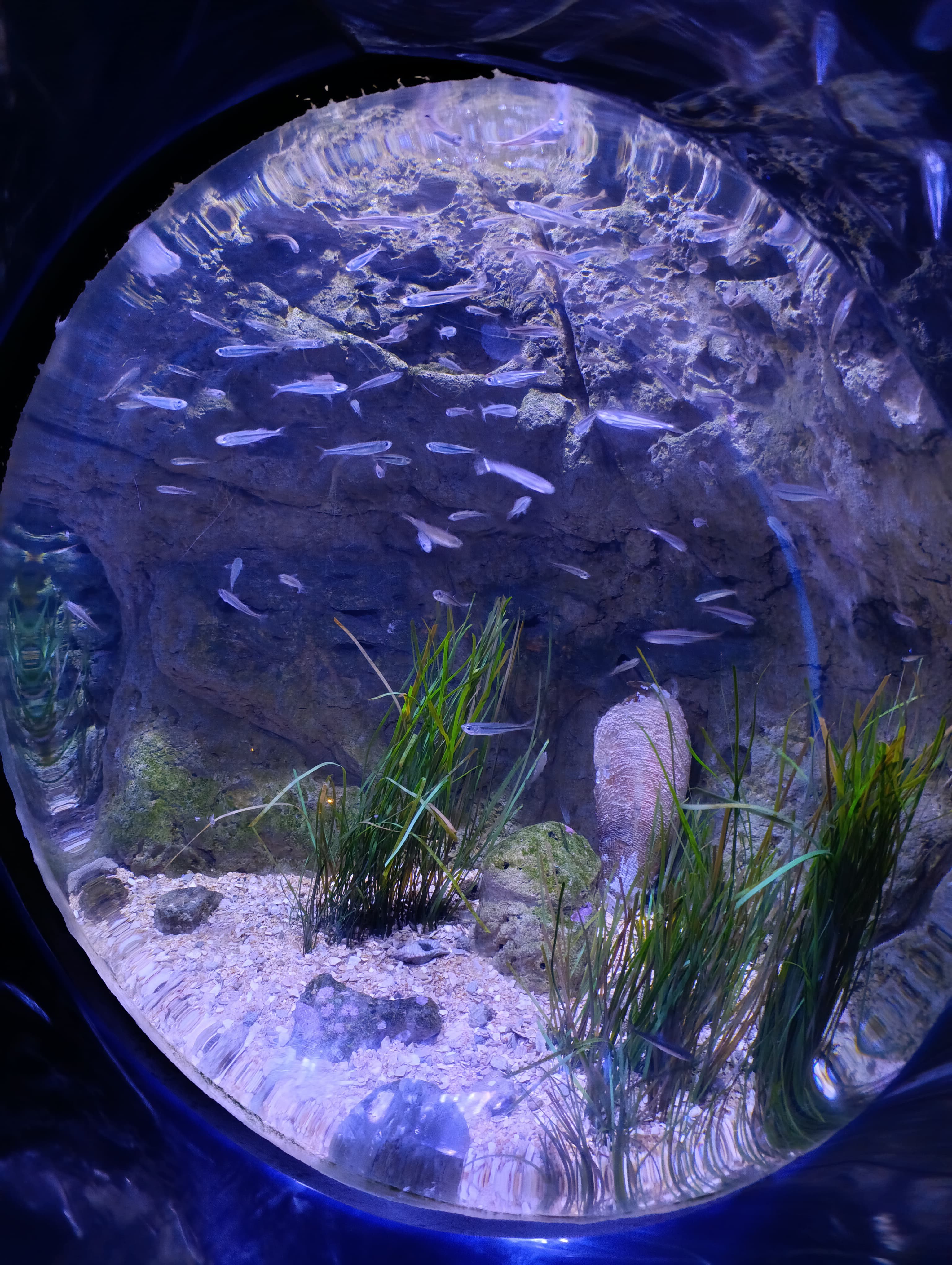 IMG-20250530-WA0345