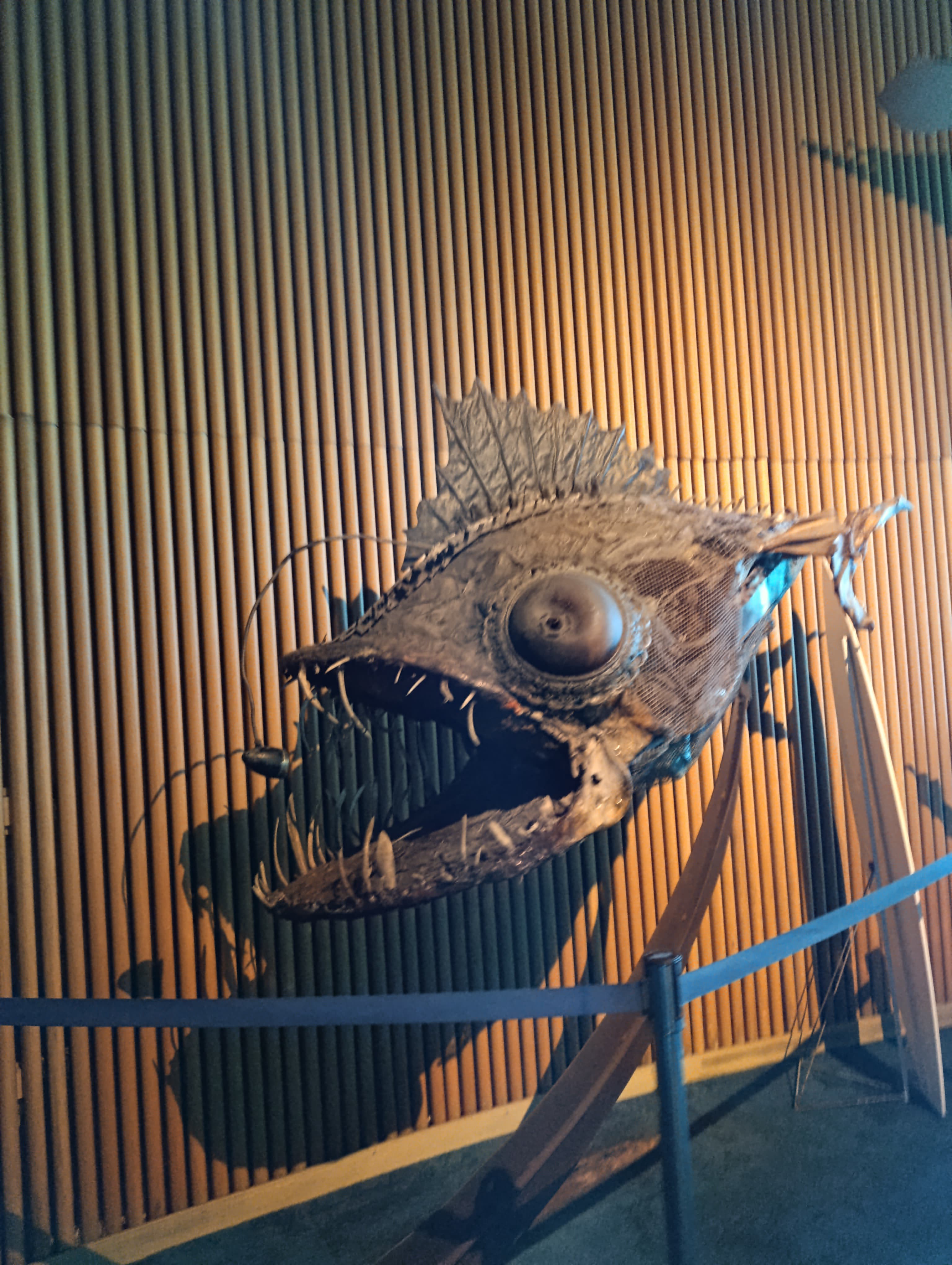 IMG-20250530-WA0348