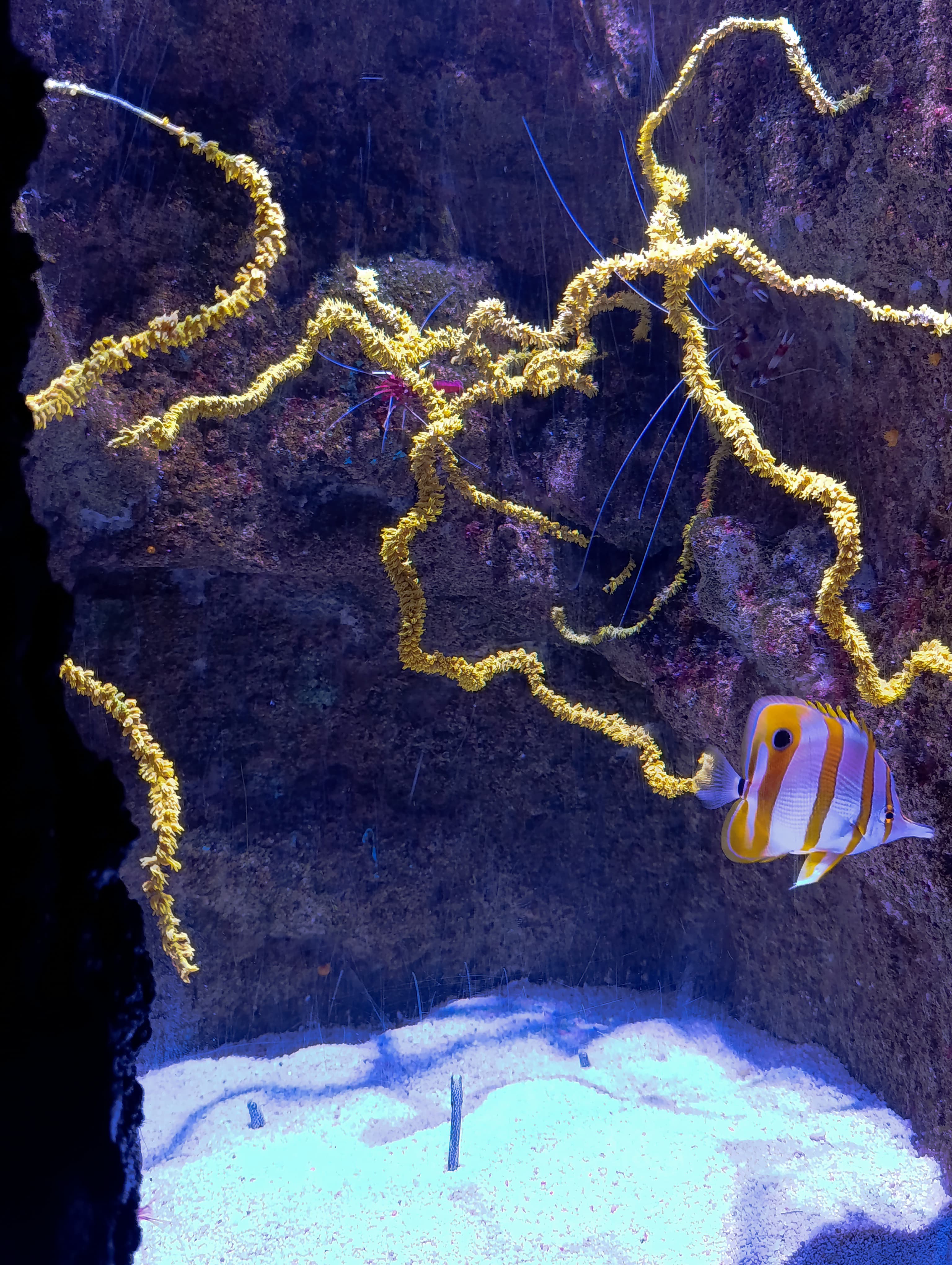 IMG-20250530-WA0349