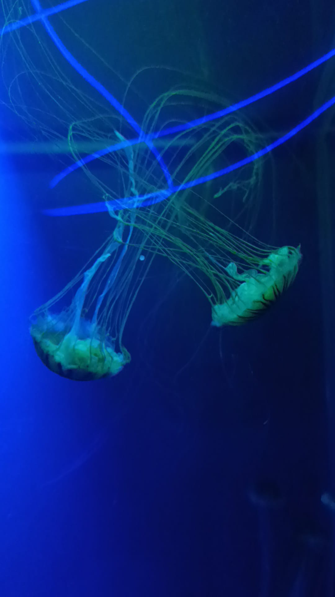 IMG-20250530-WA0356