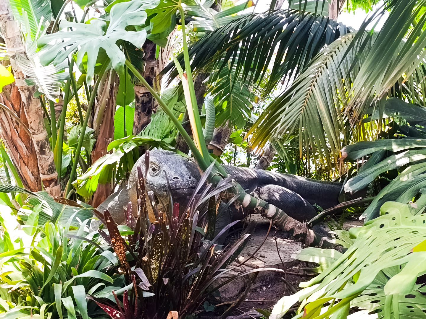 IMG-20250530-WA0369