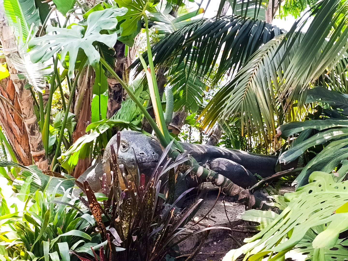 IMG-20250530-WA0373