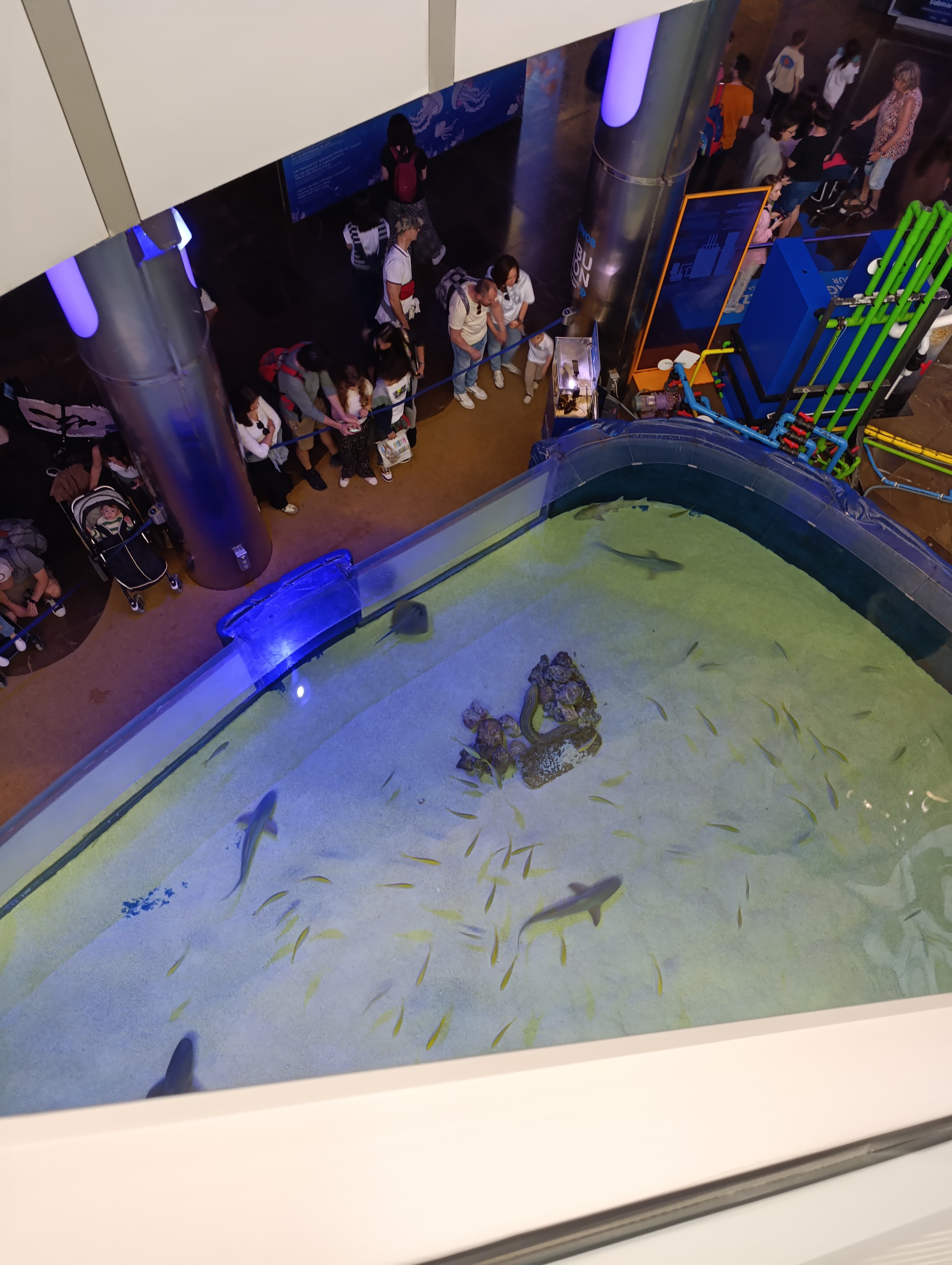 IMG-20250530-WA0420