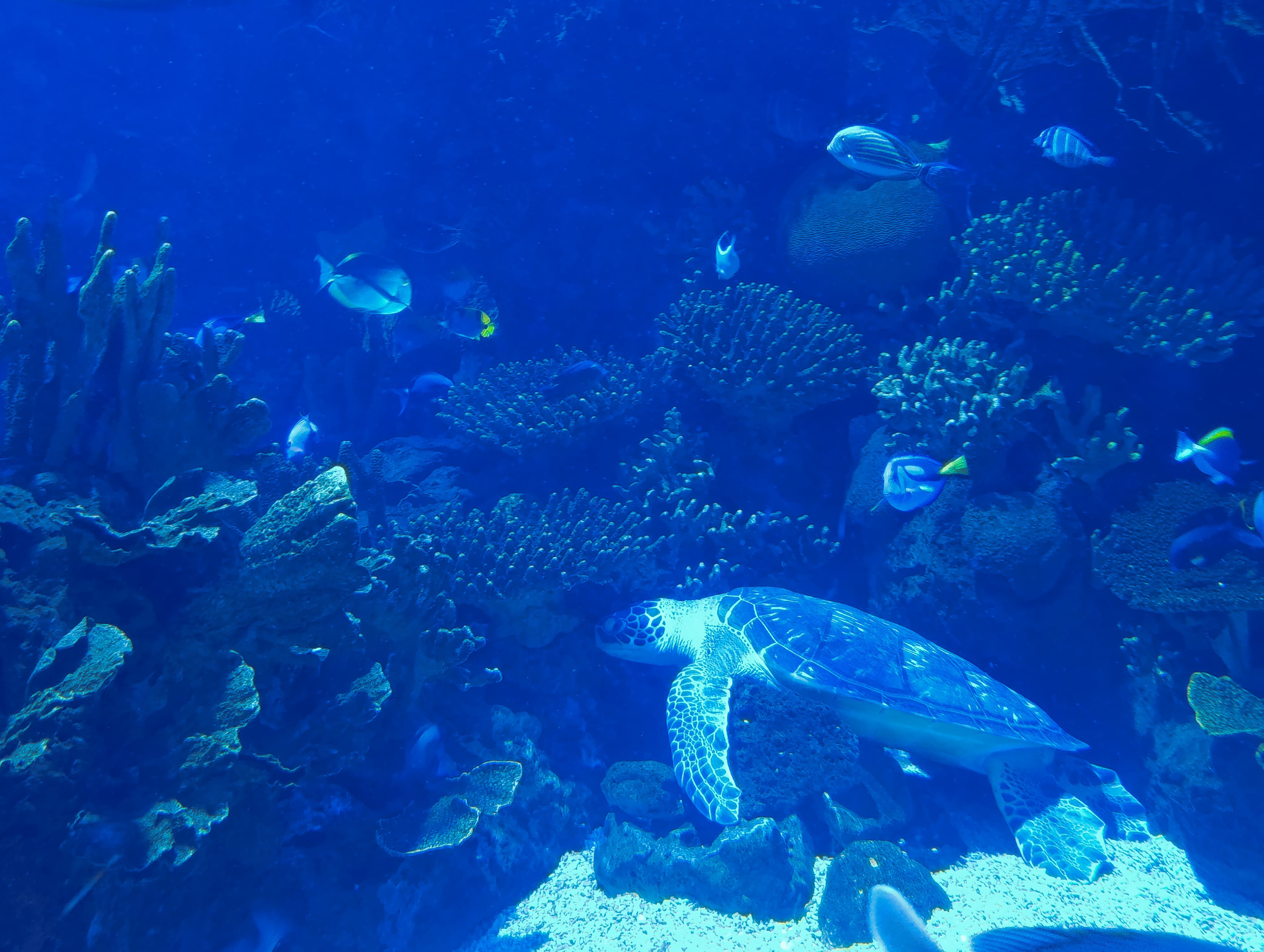 IMG-20250530-WA0428