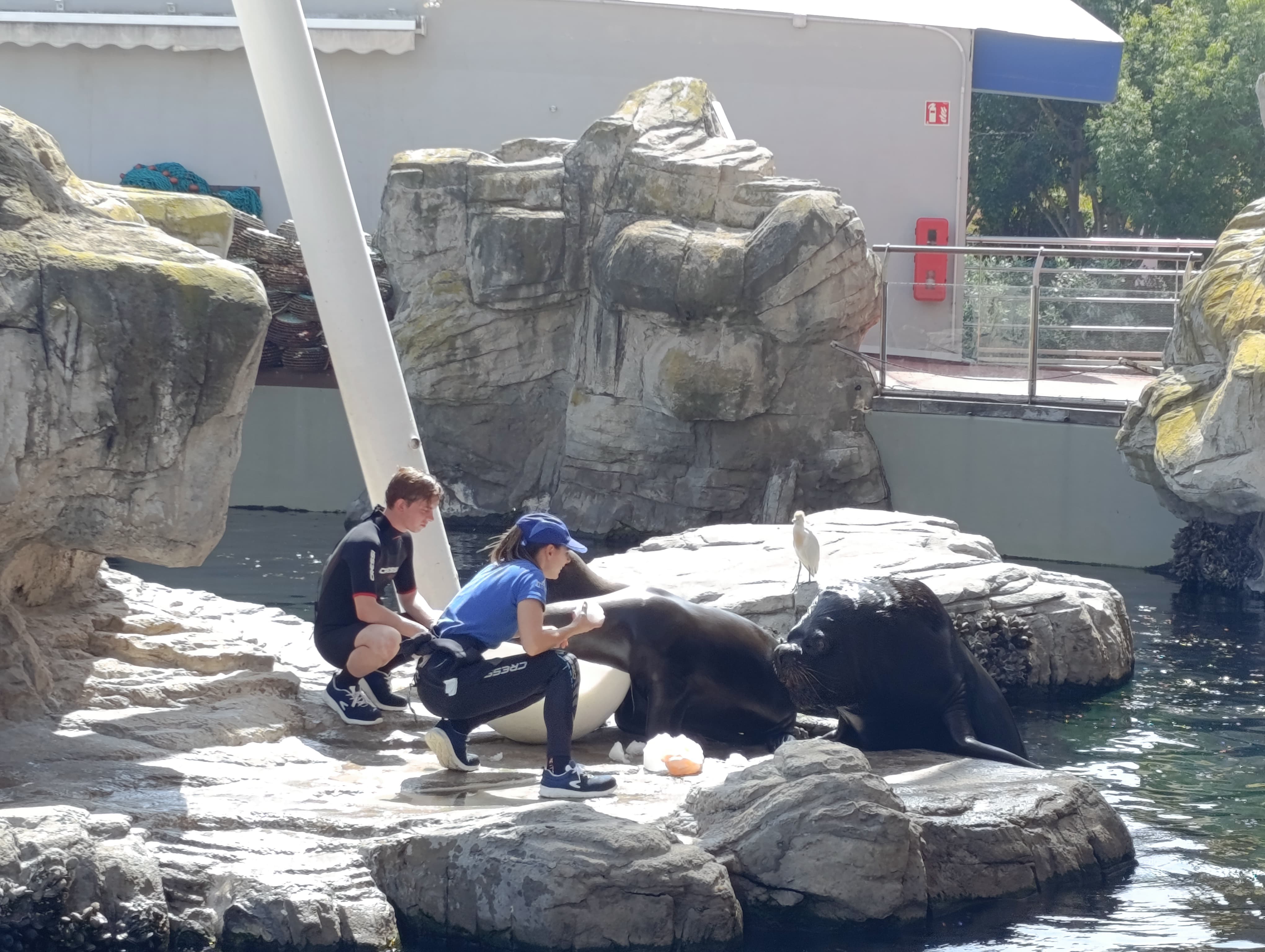IMG-20250530-WA0448