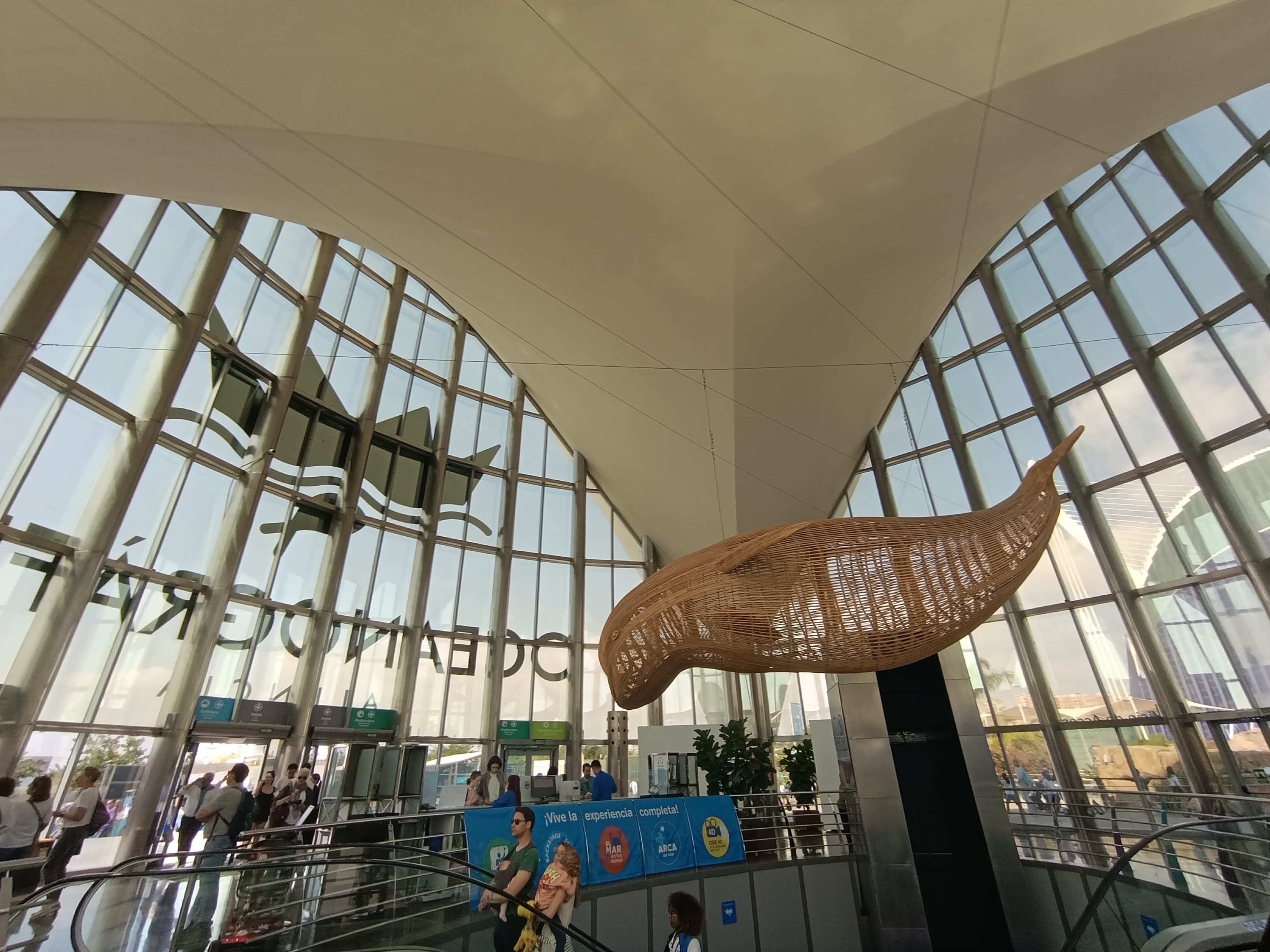 IMG-20250530-WA0453
