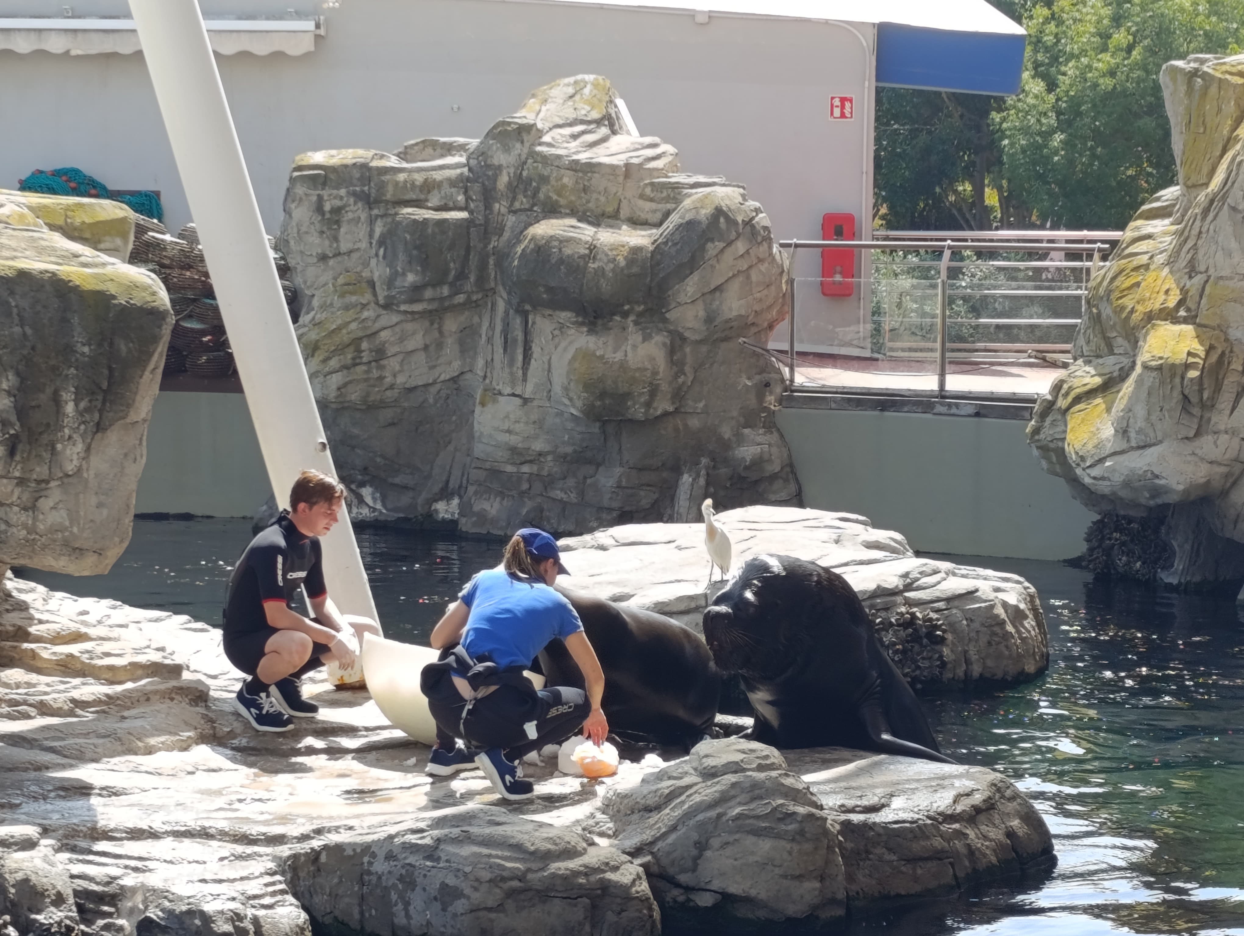 IMG-20250530-WA0509