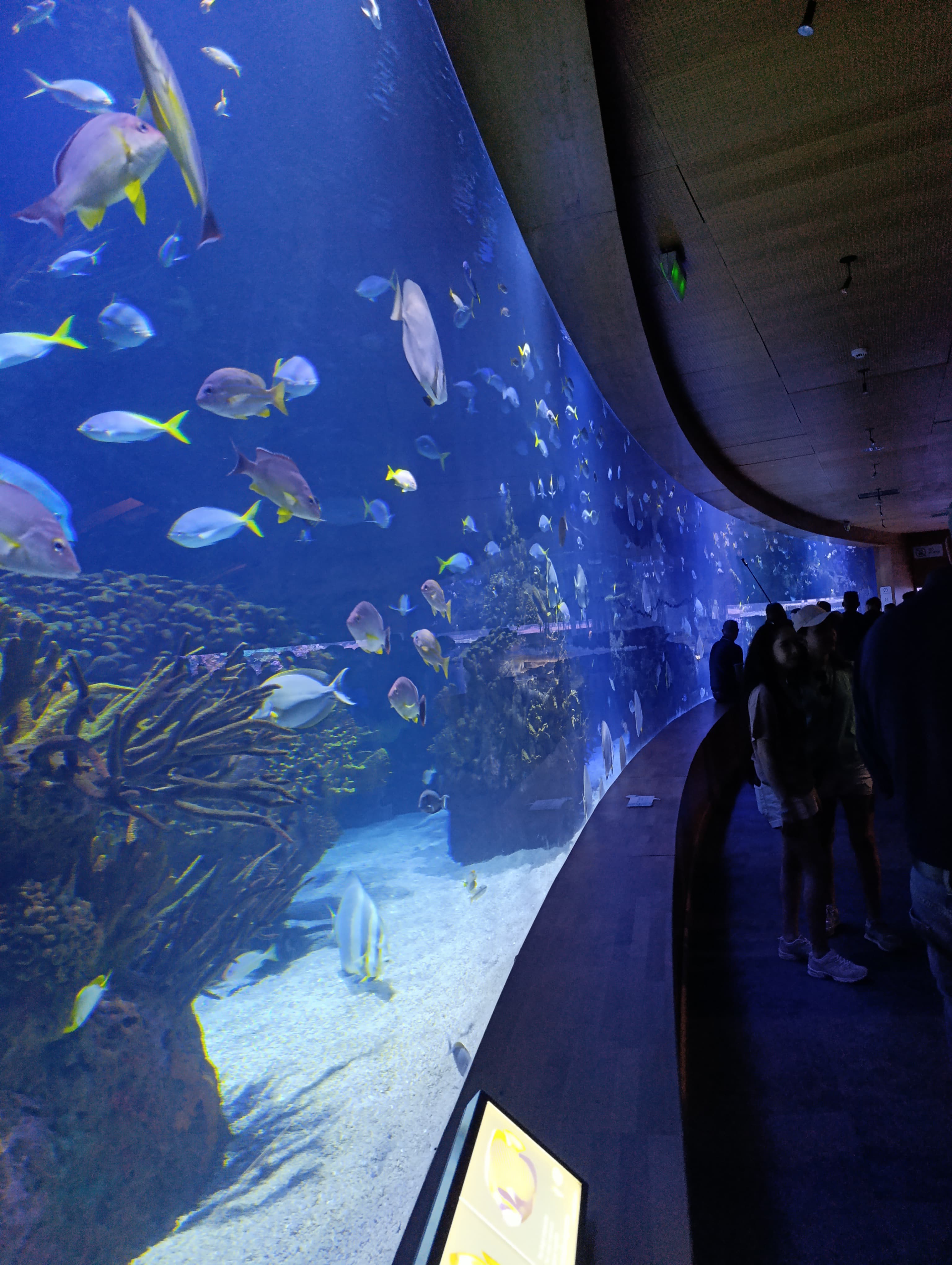 IMG-20250530-WA0542