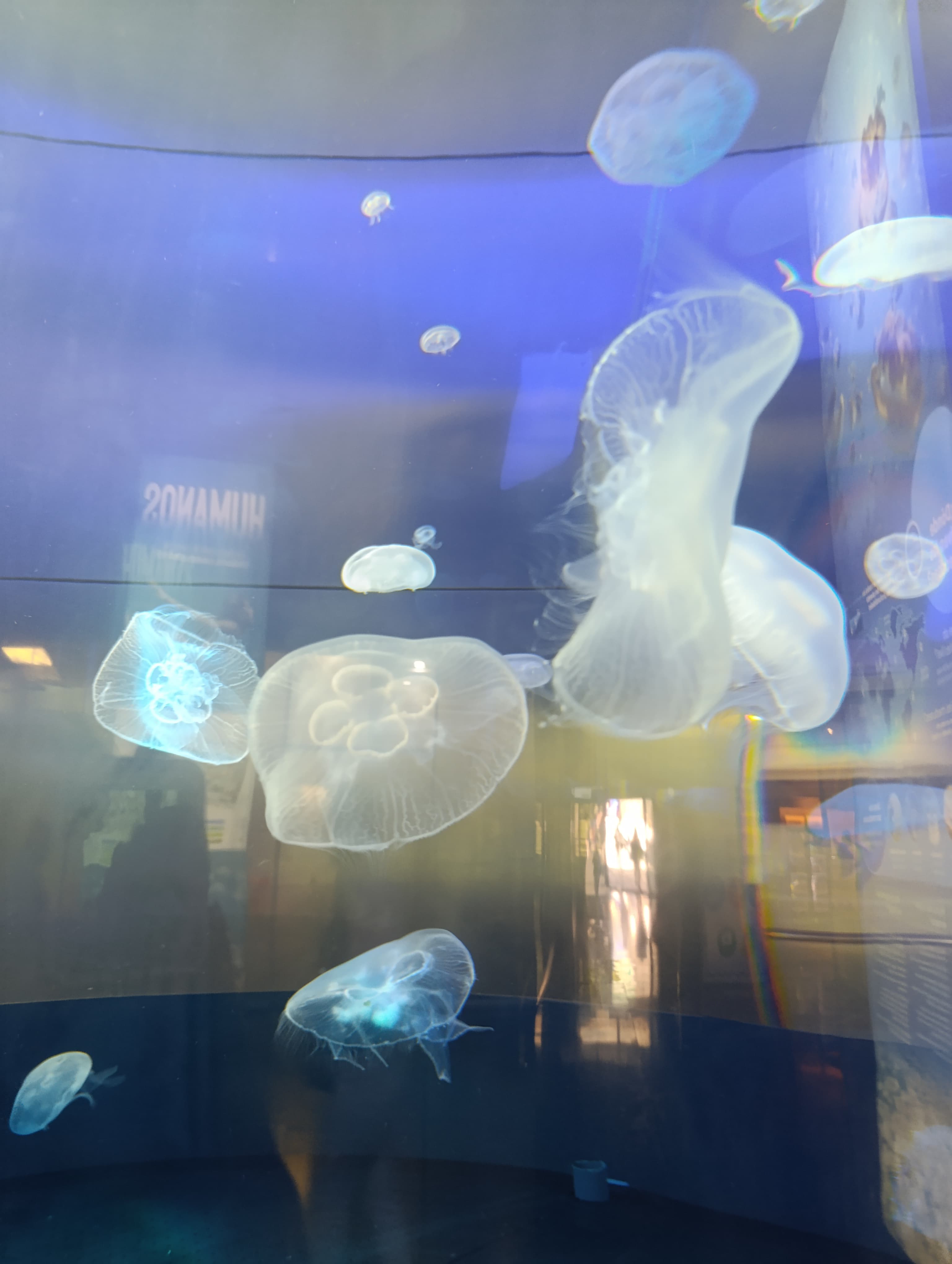 IMG-20250530-WA0547