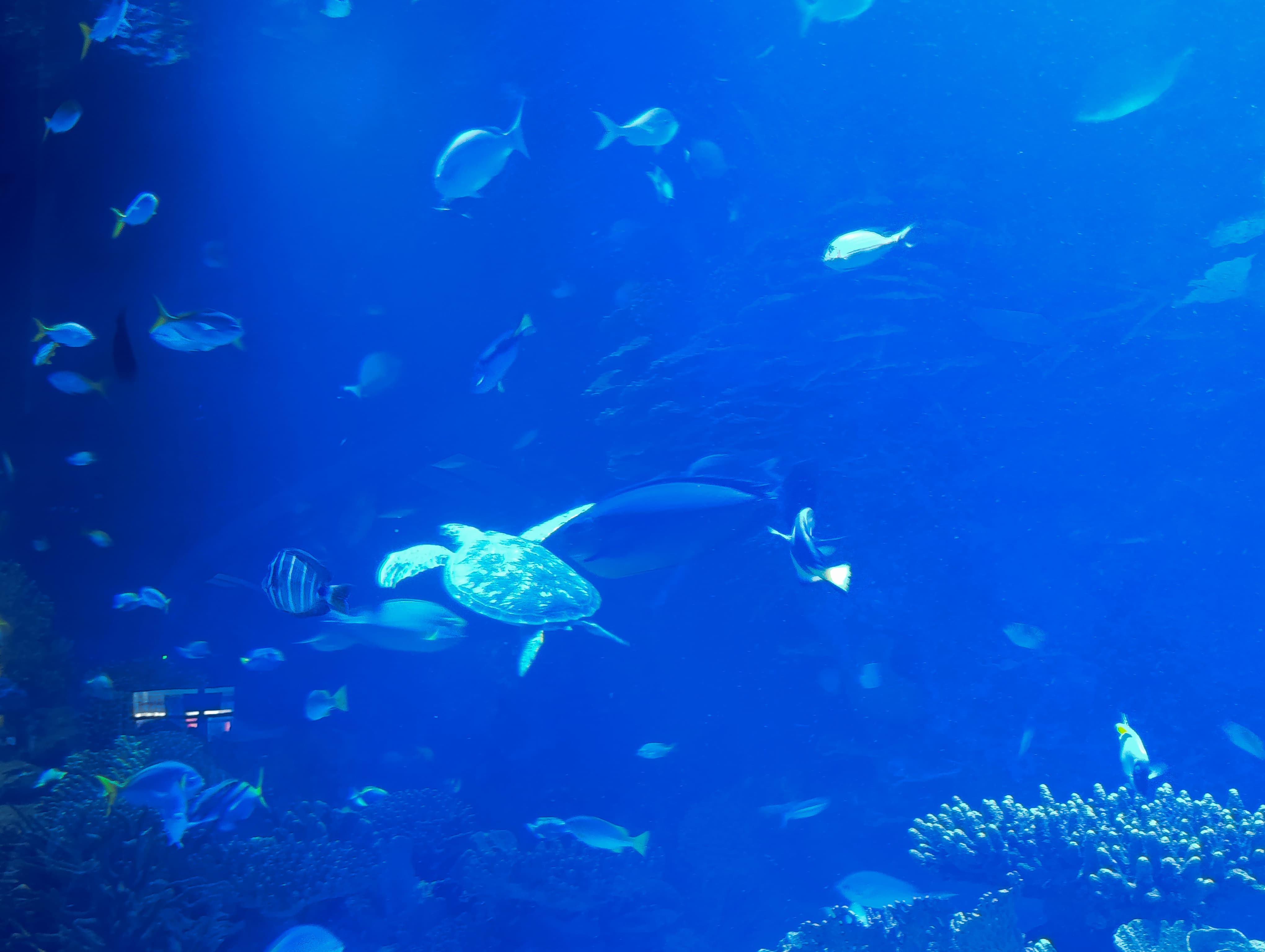 IMG-20250530-WA0557