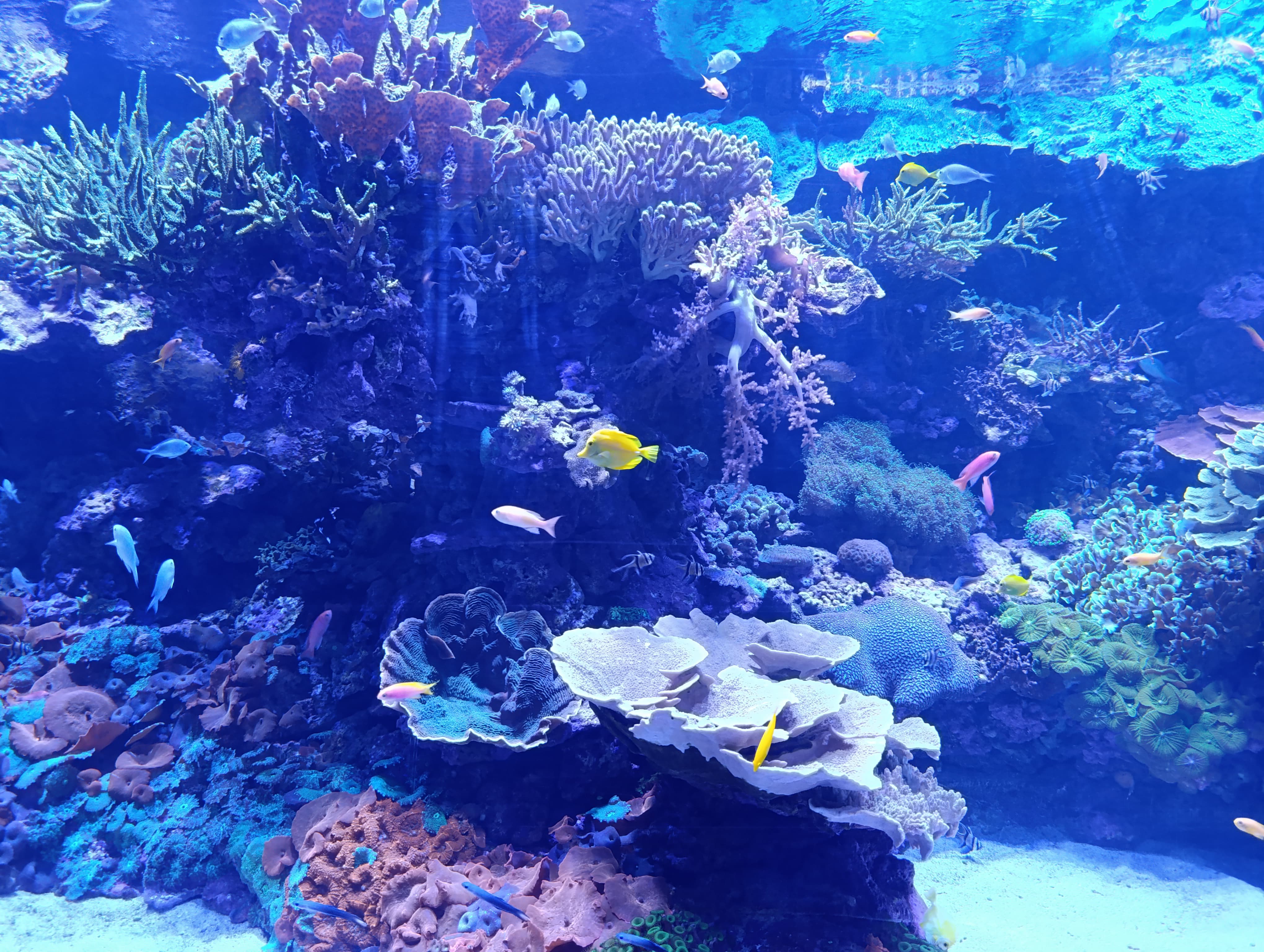 IMG-20250530-WA0564