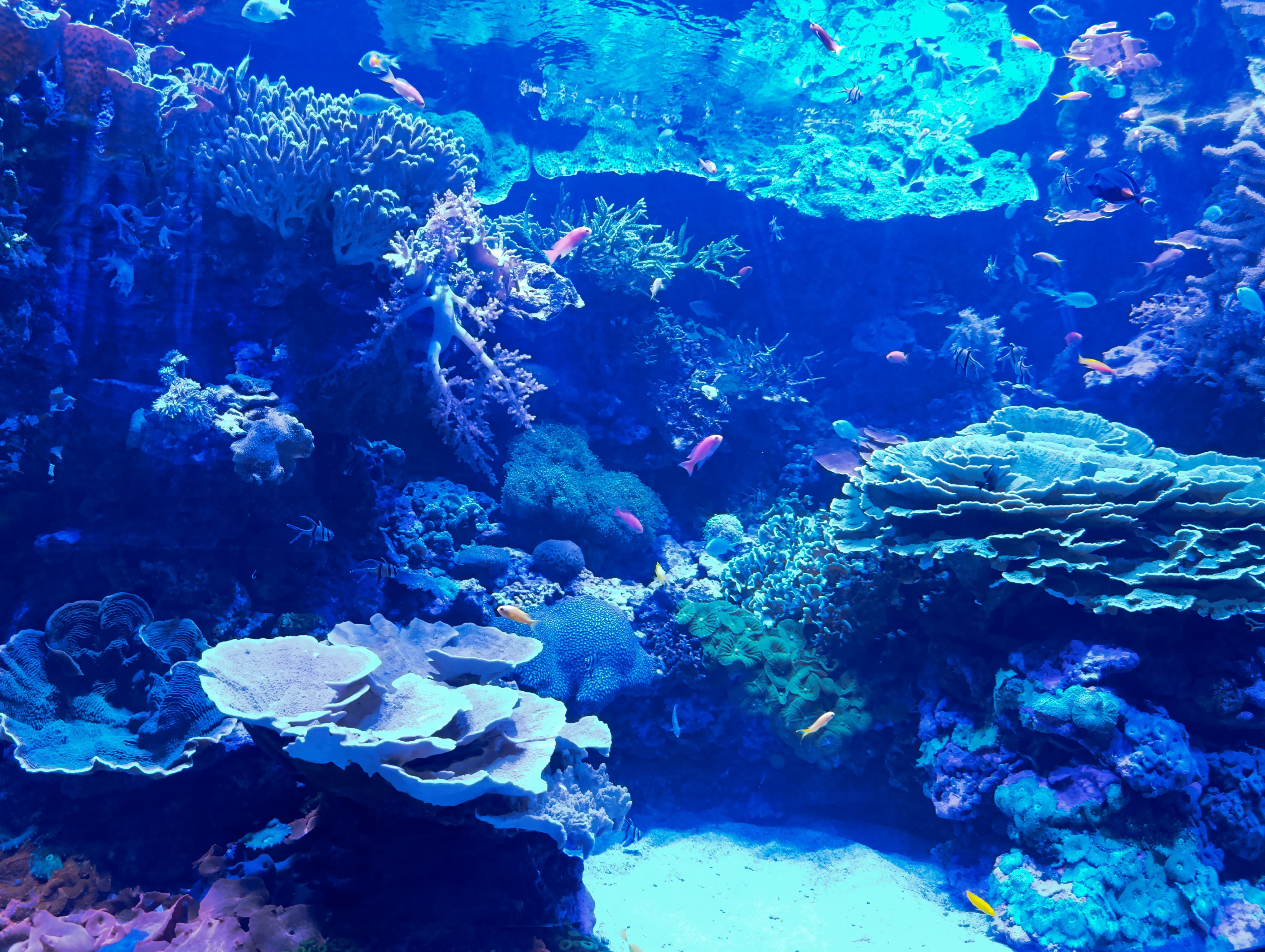 IMG-20250530-WA0573