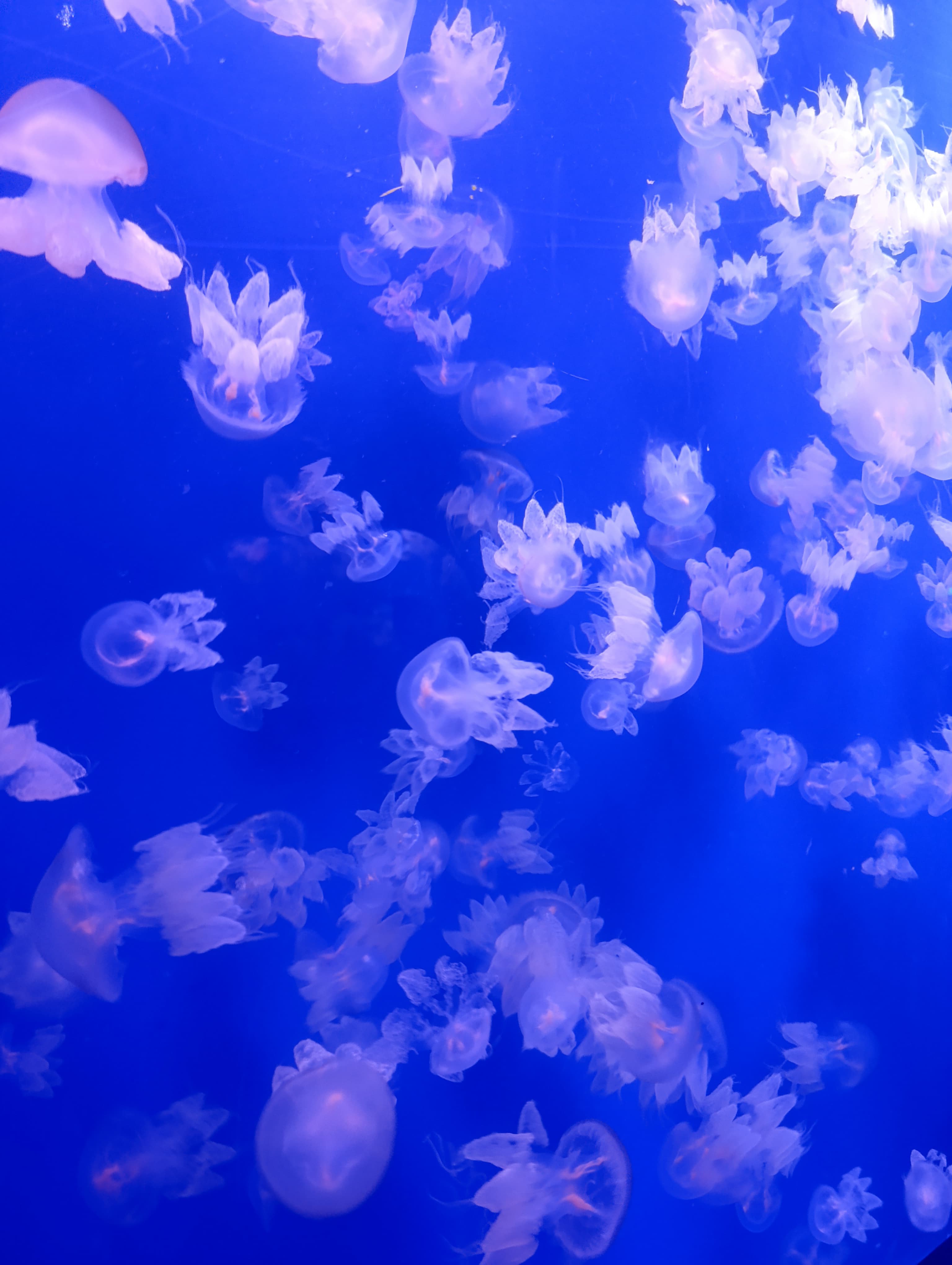 IMG-20250530-WA0590
