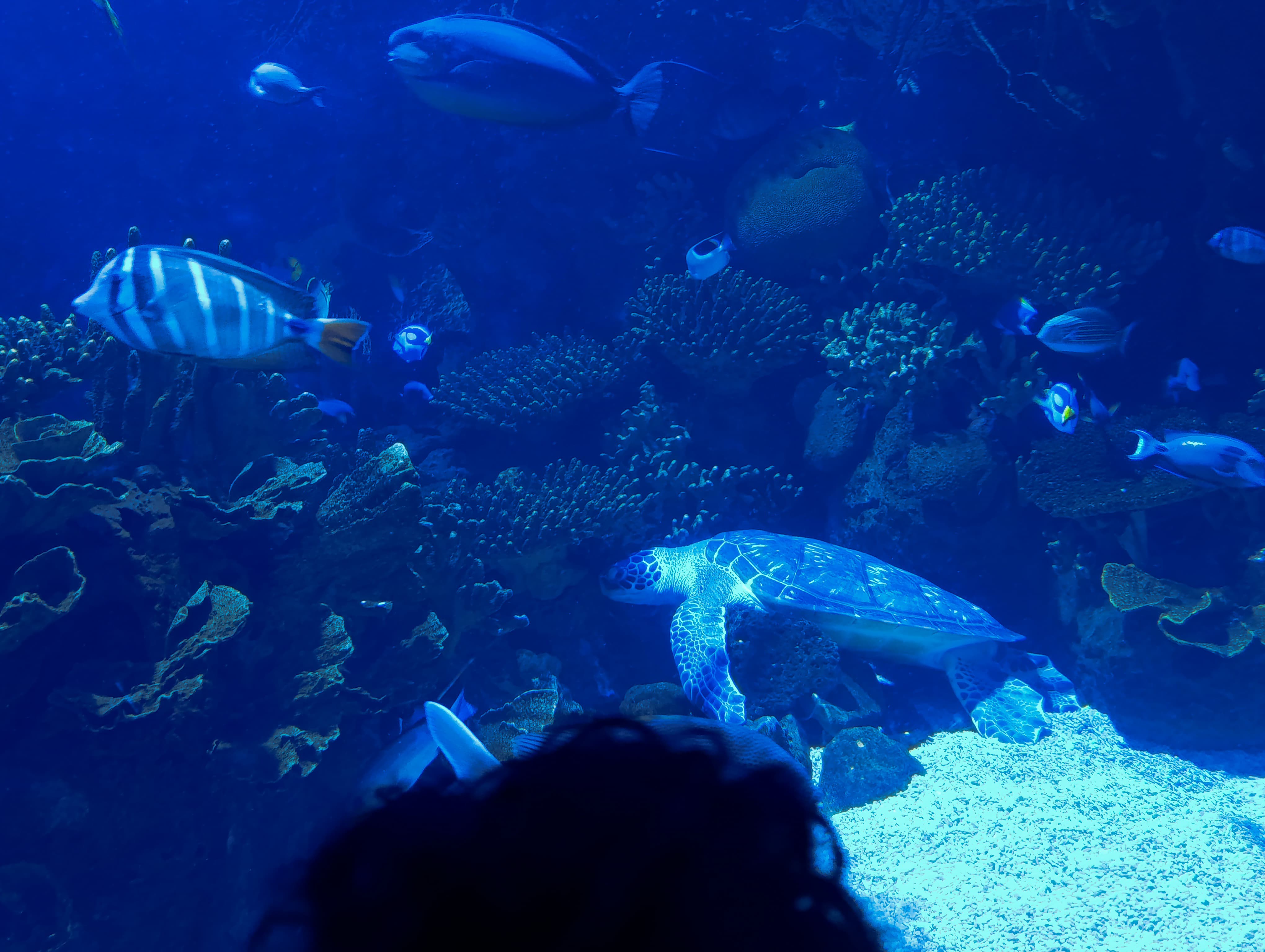 IMG-20250530-WA0646