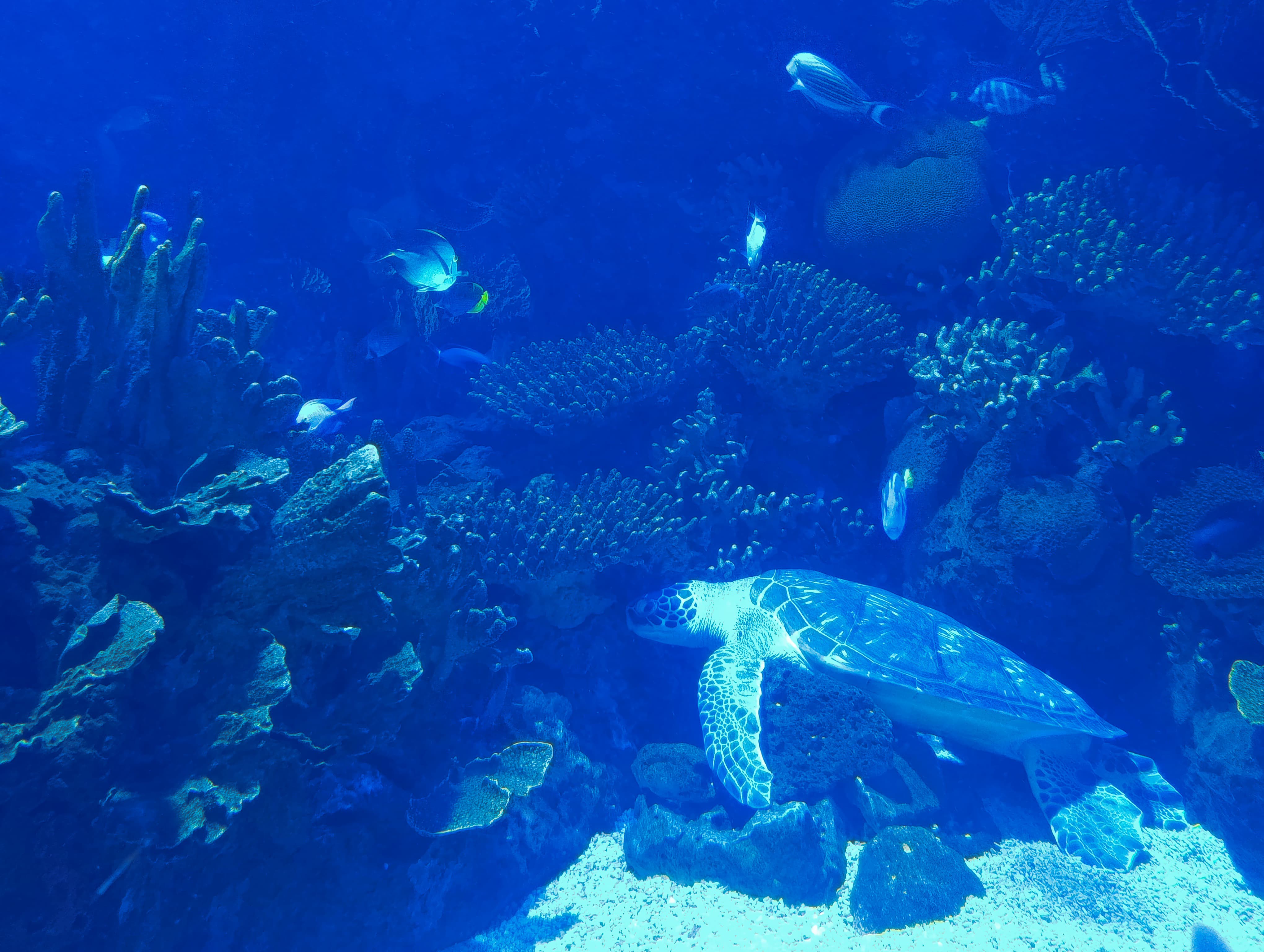 IMG-20250530-WA0654