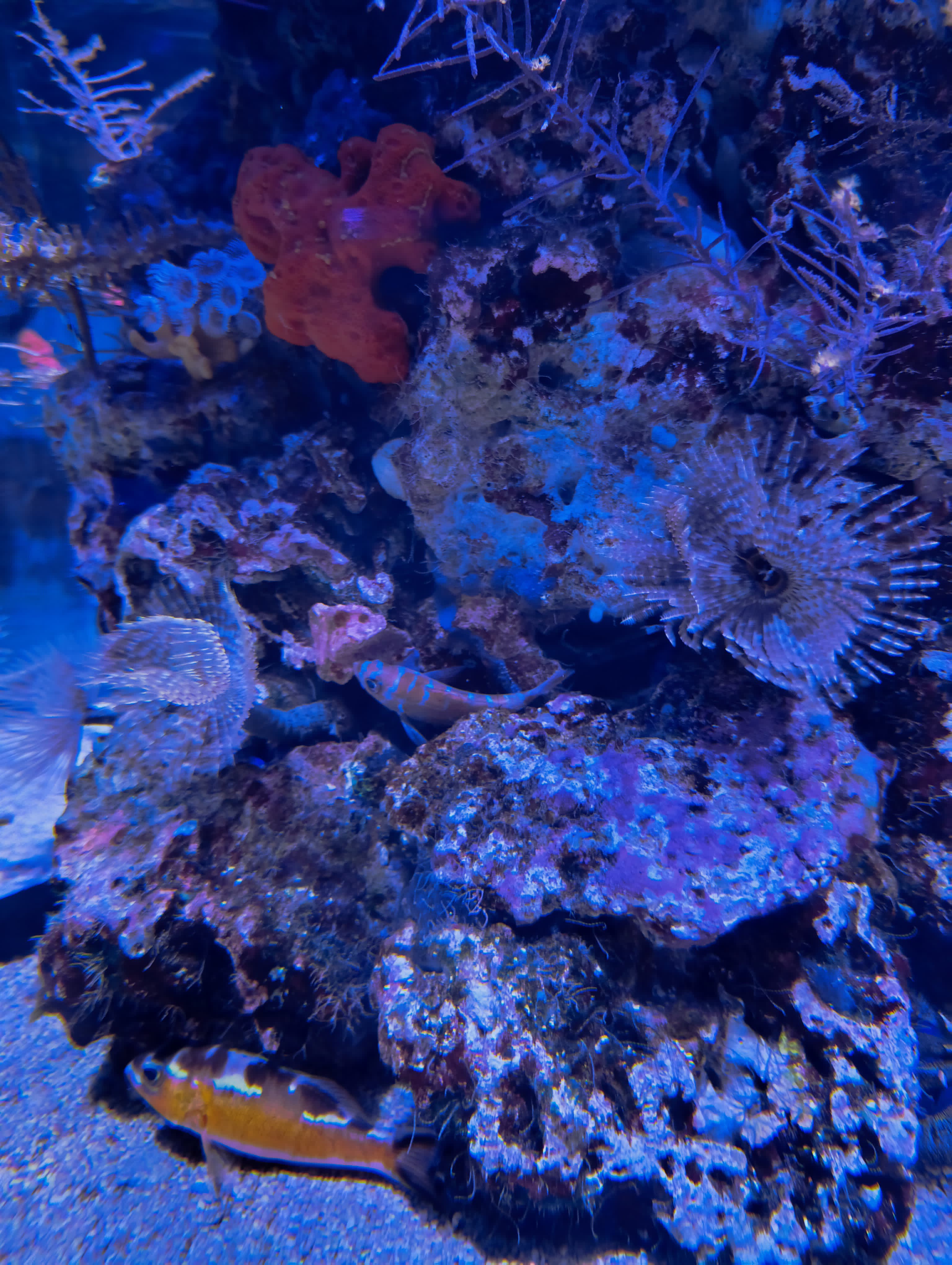 IMG-20250530-WA0661